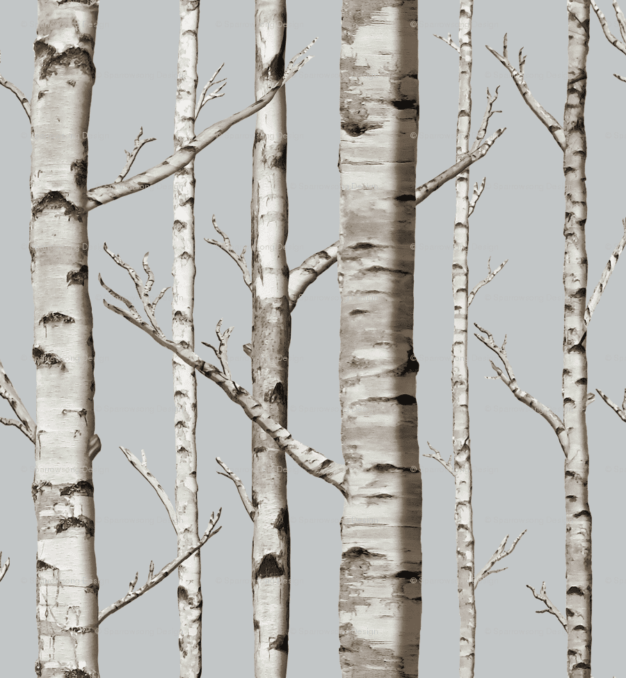Aspen Trees Photos Download The BEST Free Aspen Trees Stock Photos  HD  Images