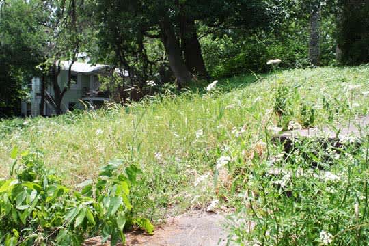 How a Big Life Change Taught Me to Embrace Mess (And Play Nice With My Neighbors)
