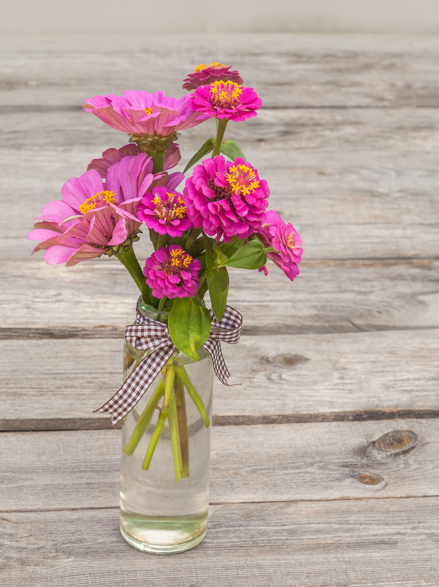 Container for cut flowers