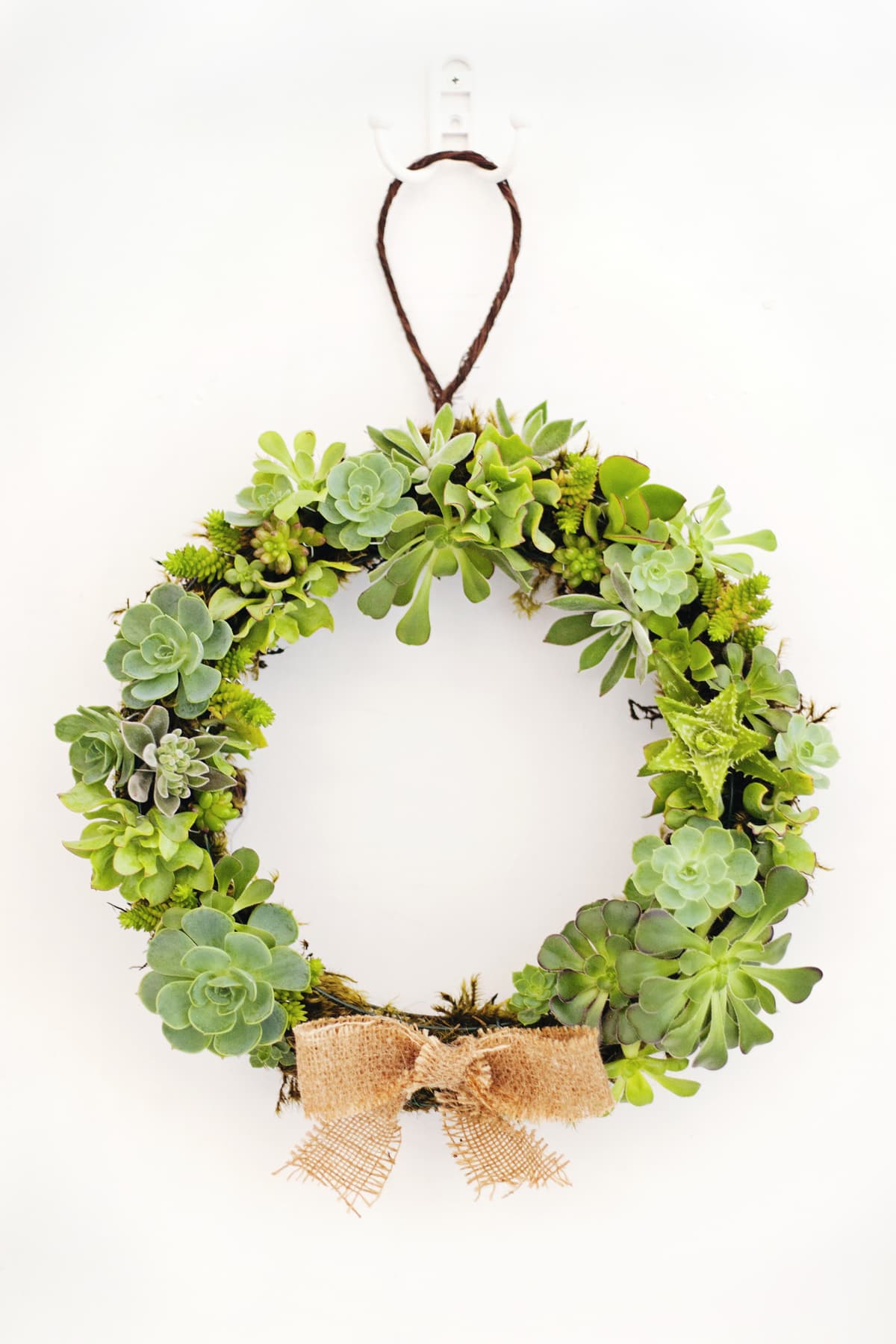 How To Make a Succulent Wreath | Apartment Therapy