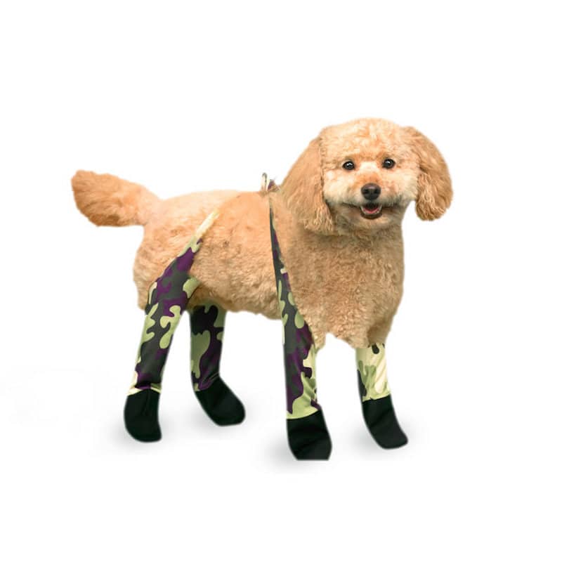 Dog Leggings Now Exist To Protect Your Pet In The Winter Months