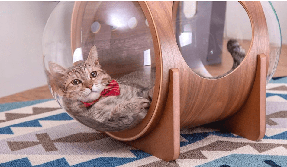 spaceship inspired cat bed