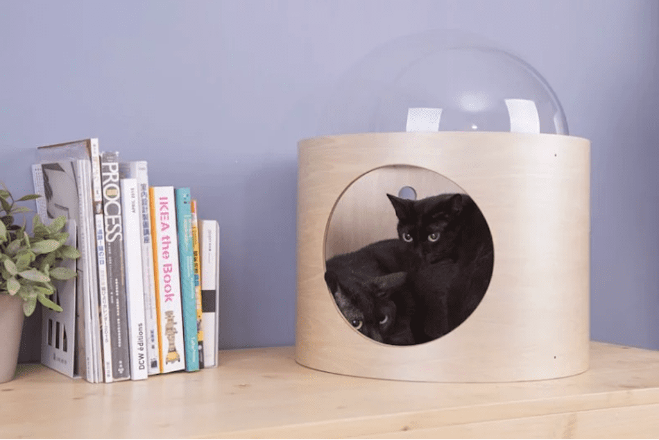 spaceship inspired cat beds