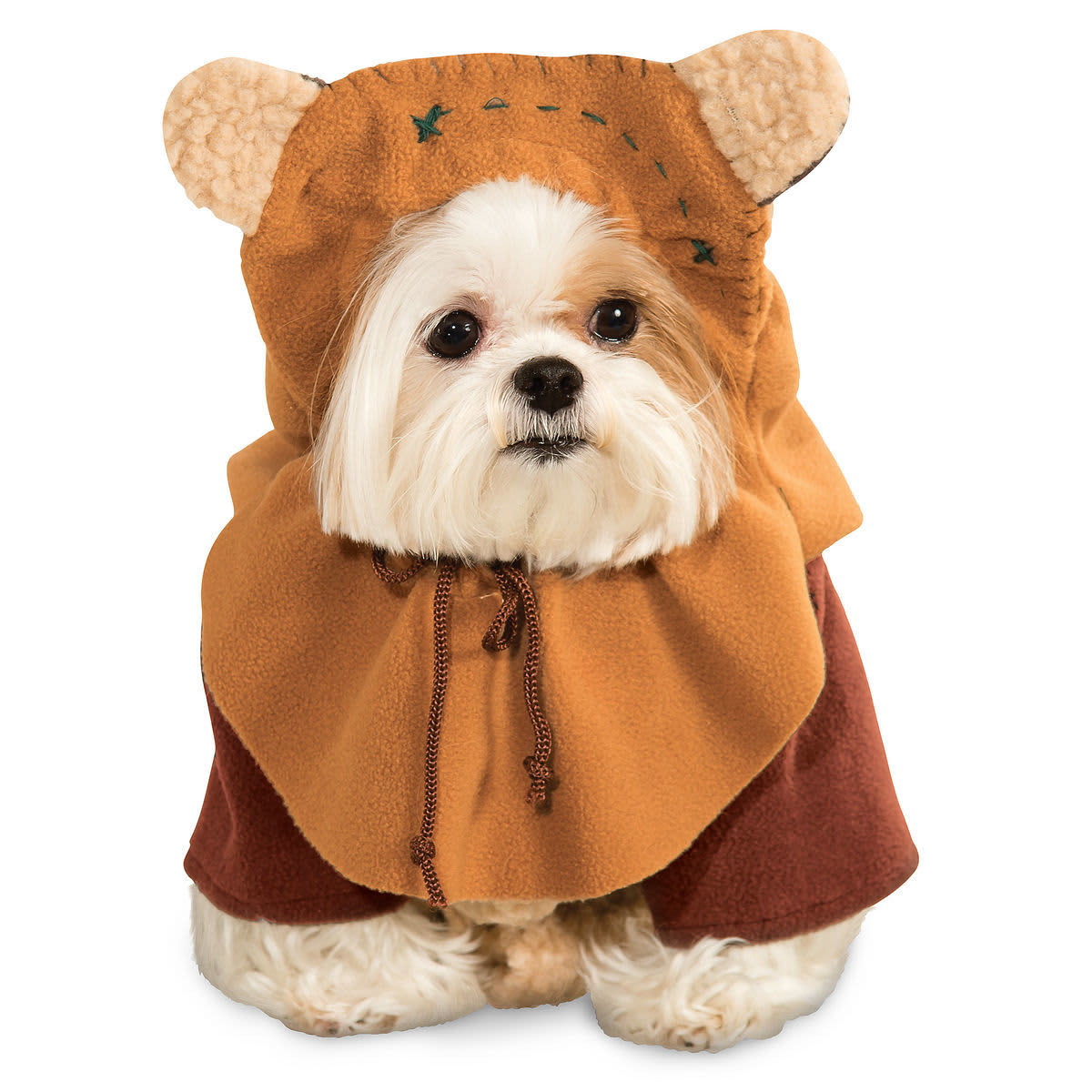 Disney Now Sells Dog Costumes Online