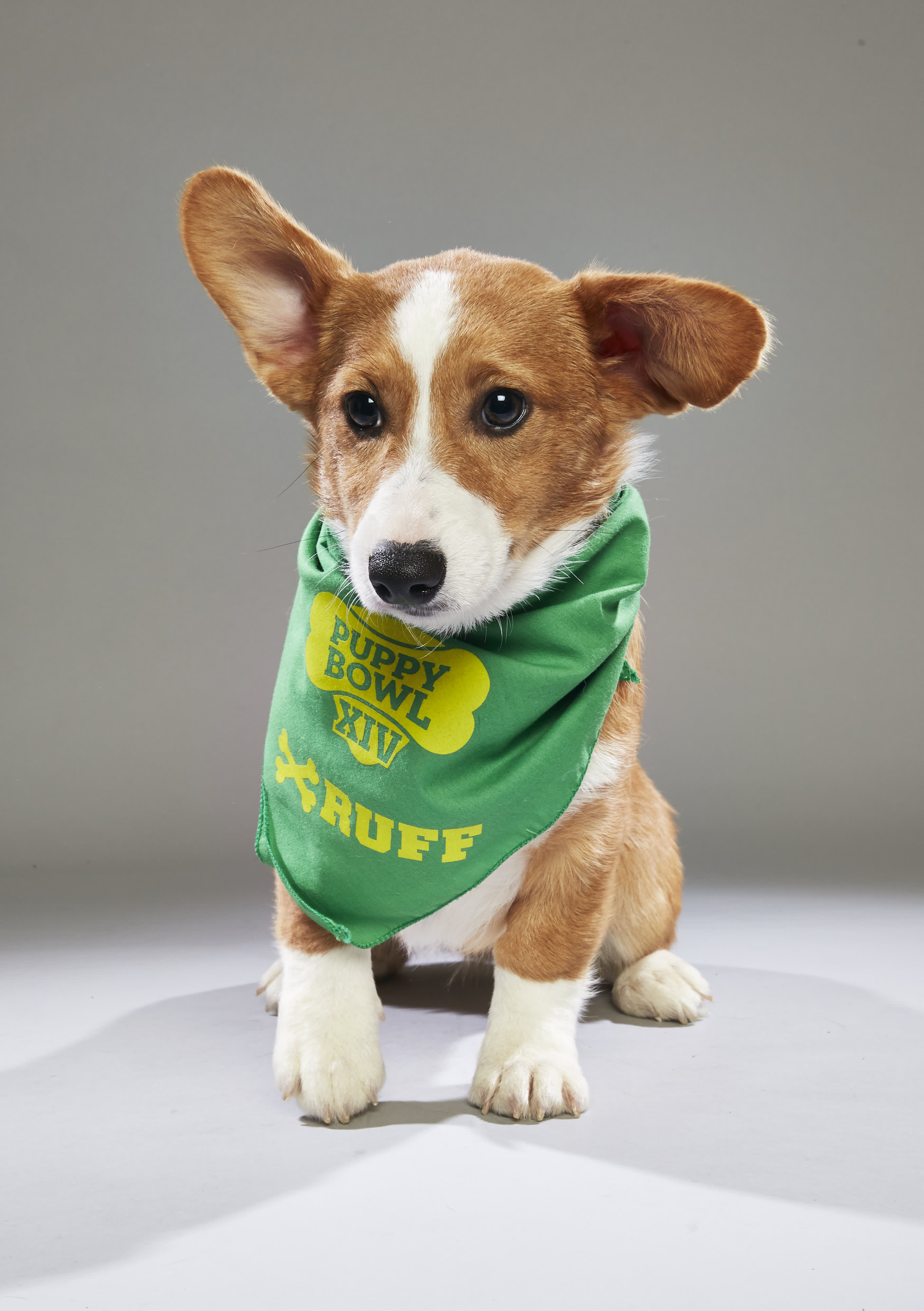 what time is the puppy bowl 2018