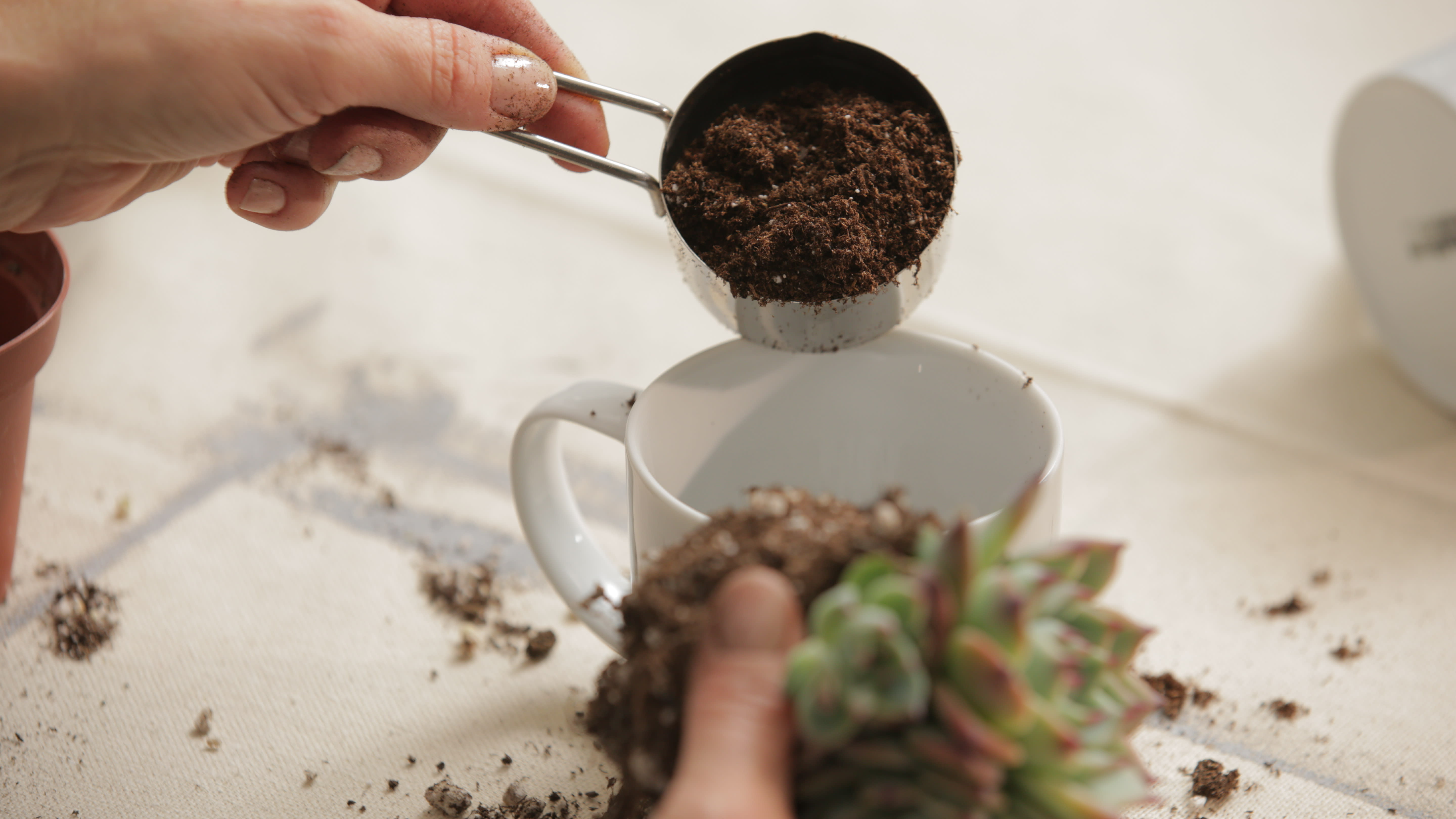 Hanging coffee cup planter — A Charming Project