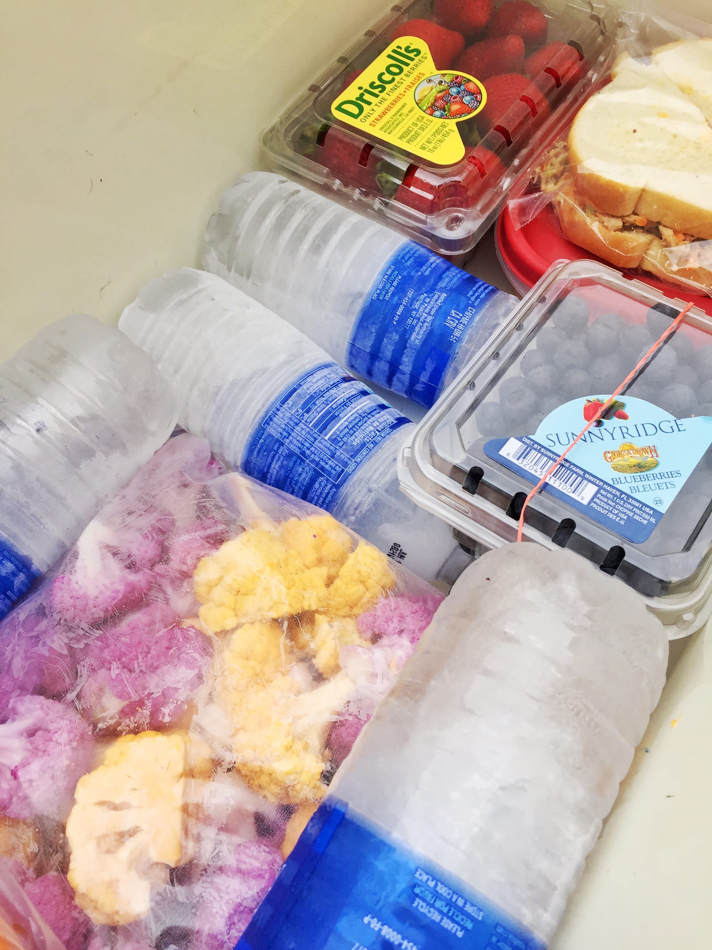 Frozen Water Bottles to Drink and as Cooler Ice - No More Soggy Cooler Food