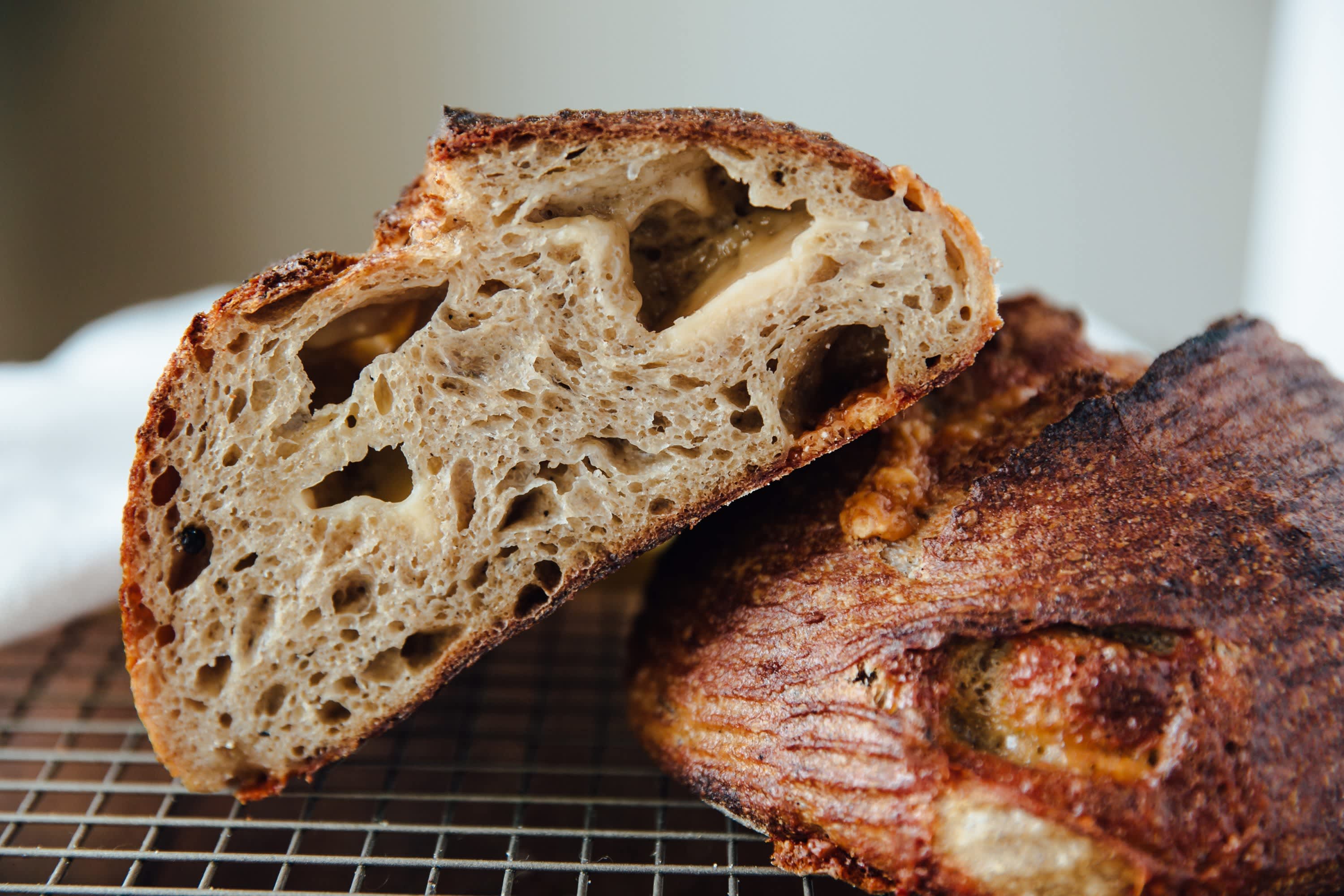 sourdough basics — our happy home