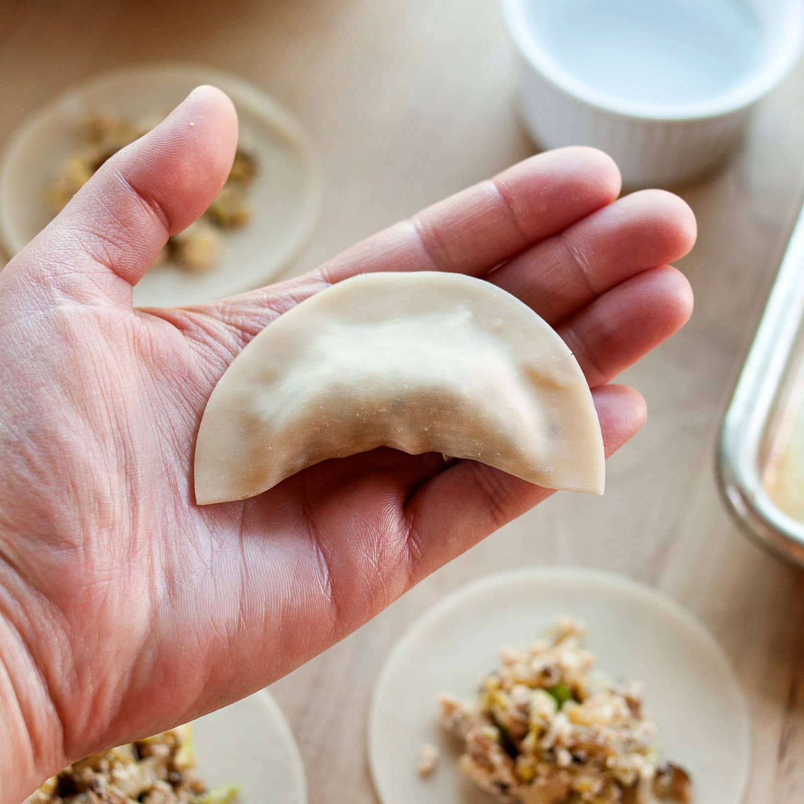 How to Make Chinese Dumplings From Scratch - ThousandLemons