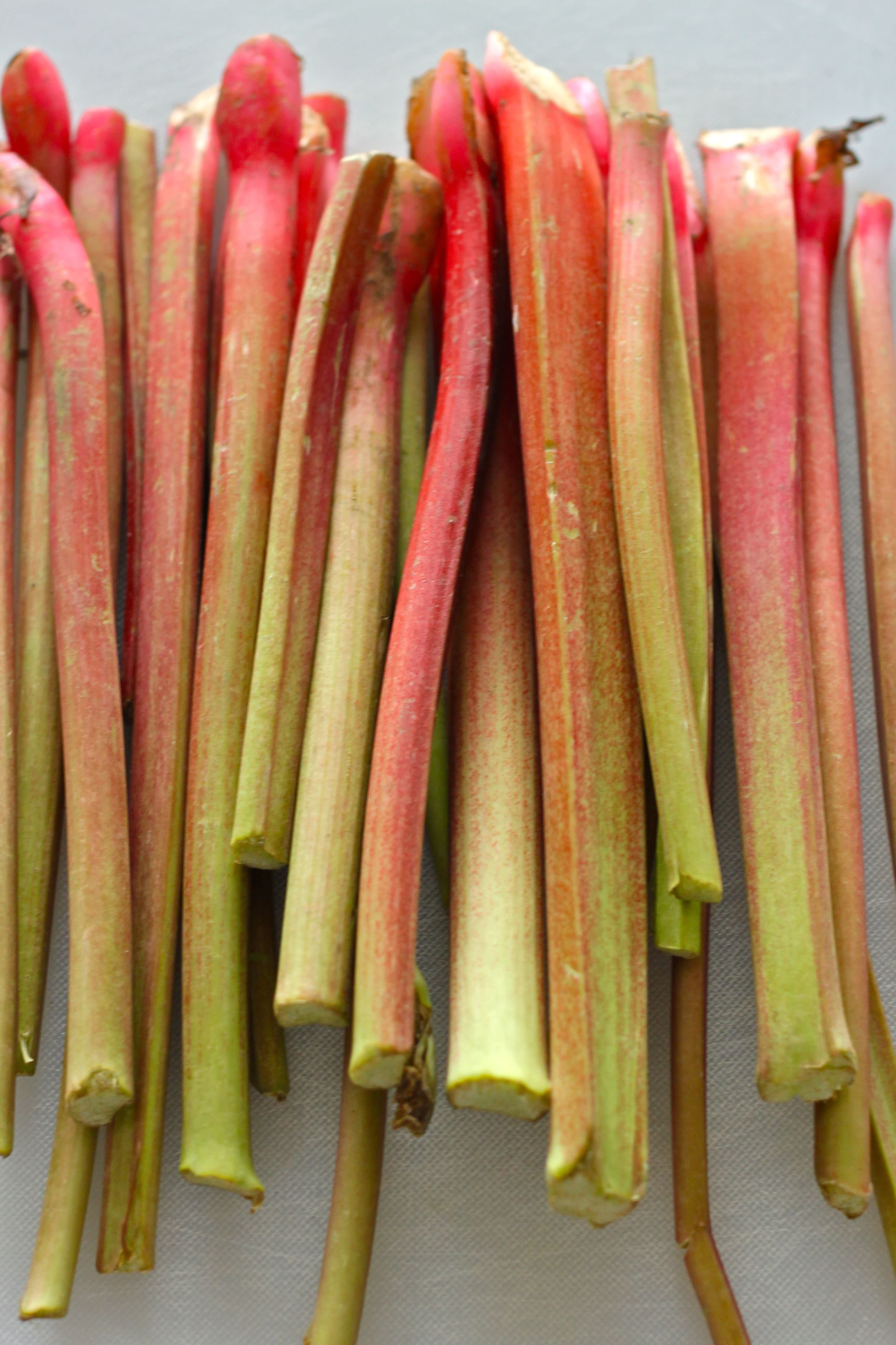 Seasonal Spotlight: Rhubarb! — Nourish