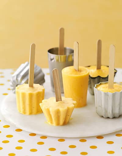 Make Popsicles at home with Popsicle Molds and Ice Pop Bags by Lebice 