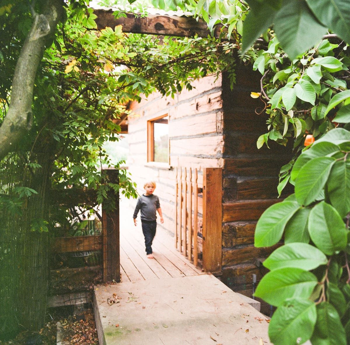 Nancy, Ethan, & Ohle’s 1903 Cabin in the Country | Apartment Therapy