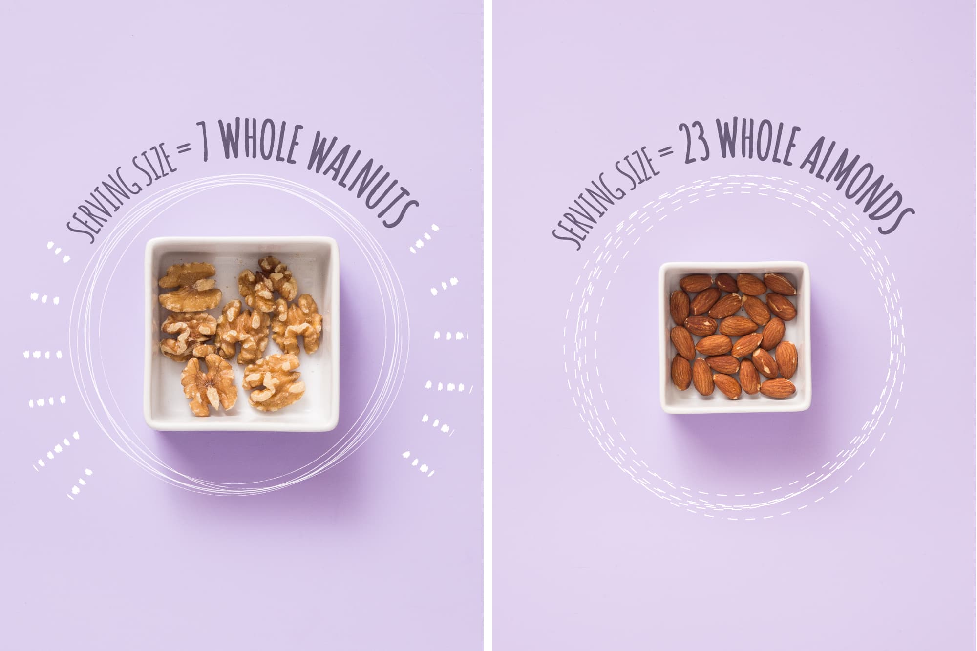 A Visual Guide To Protein Serving Sizes Kitchn