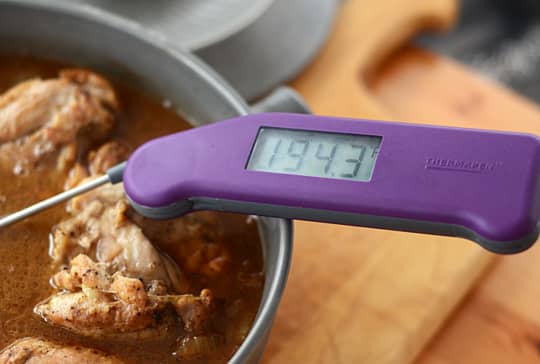 Honest Product Review: Taylor Digital Cooking Probe Thermometer