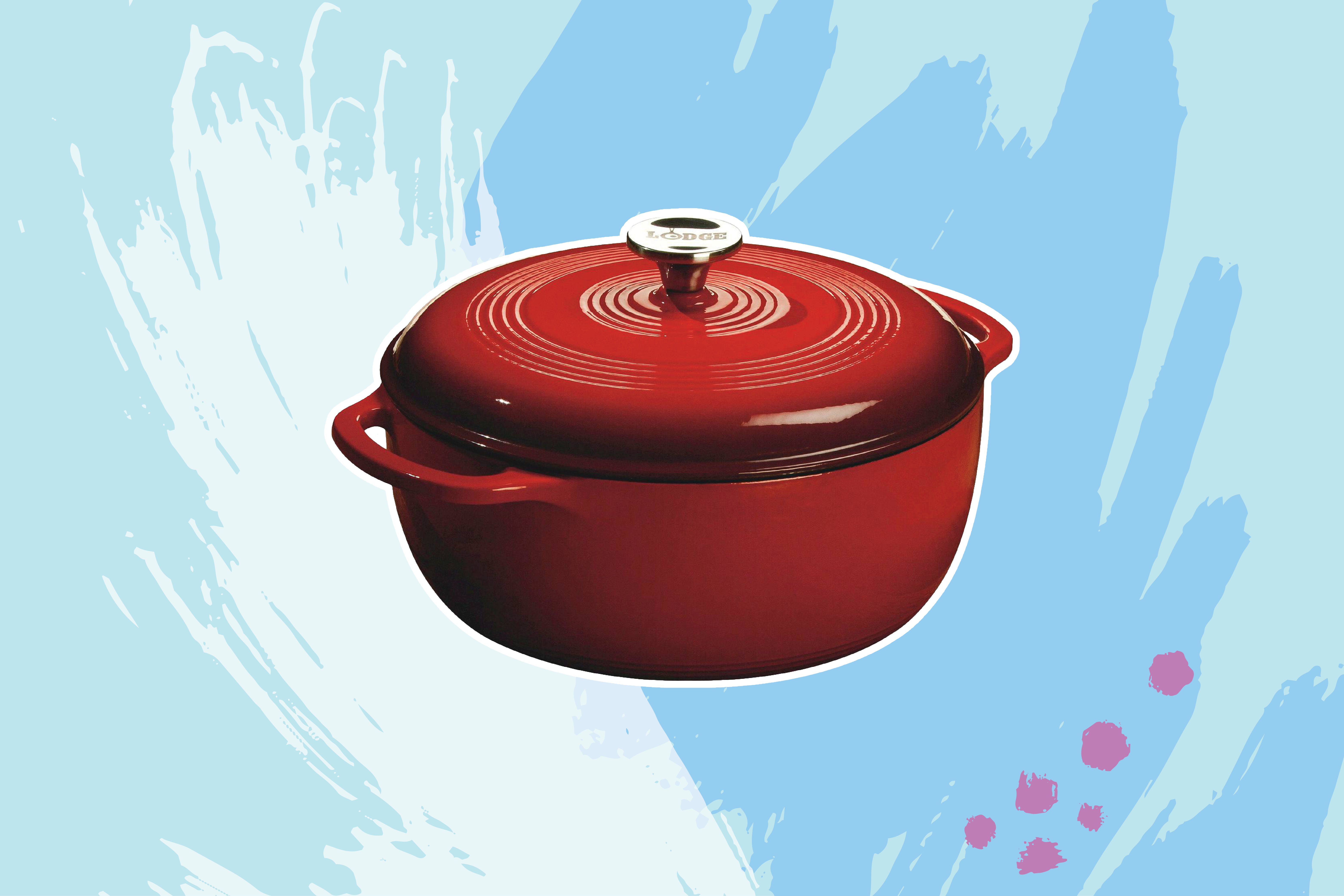 The best Dutch ovens  Business Insider India