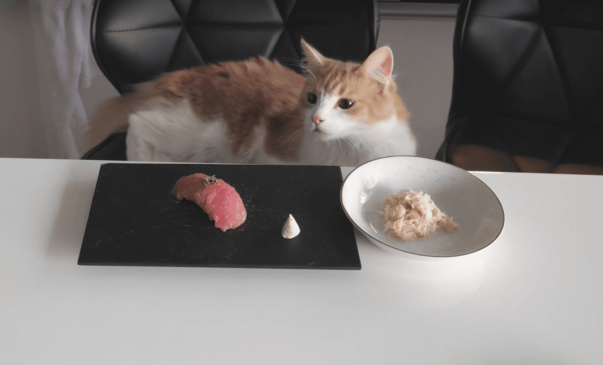 Cute Cat Shape Sushi Mold - Pet Clever