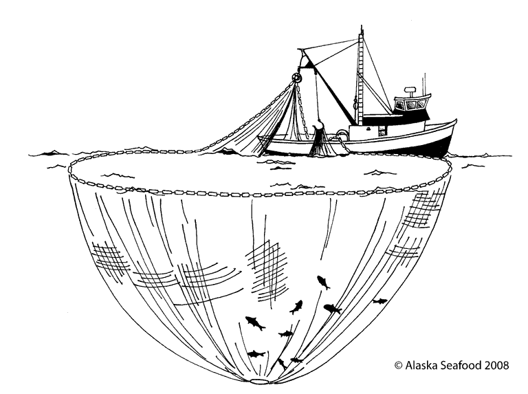 purse seine