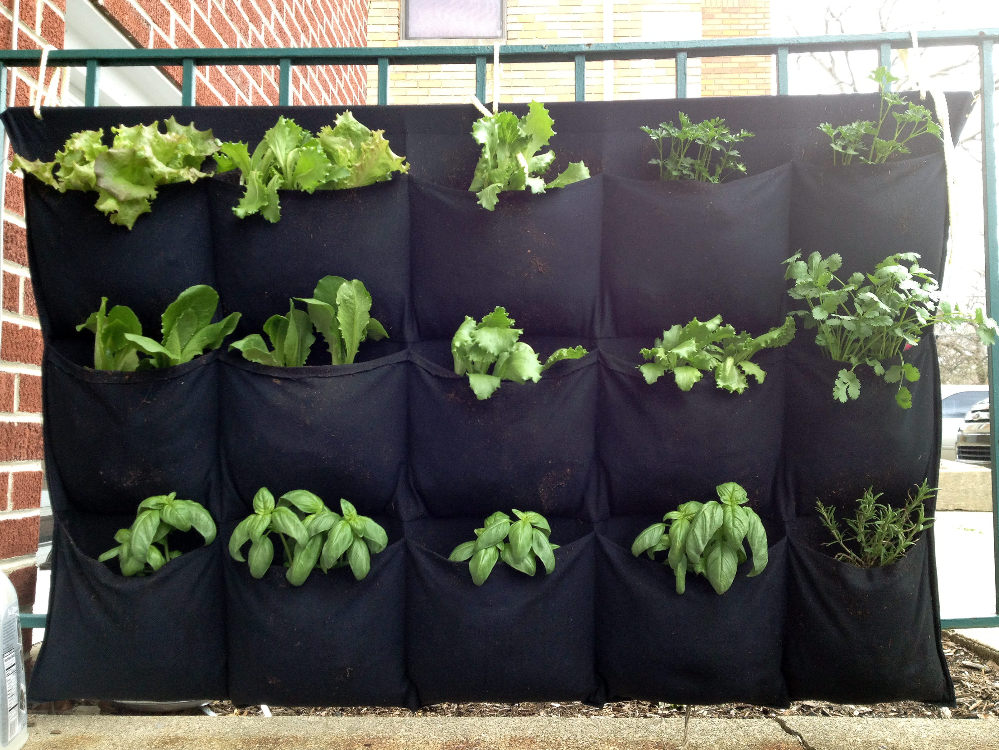 A Smart, Cheap Garden for Small Spaces: The Hanging Herb Garden