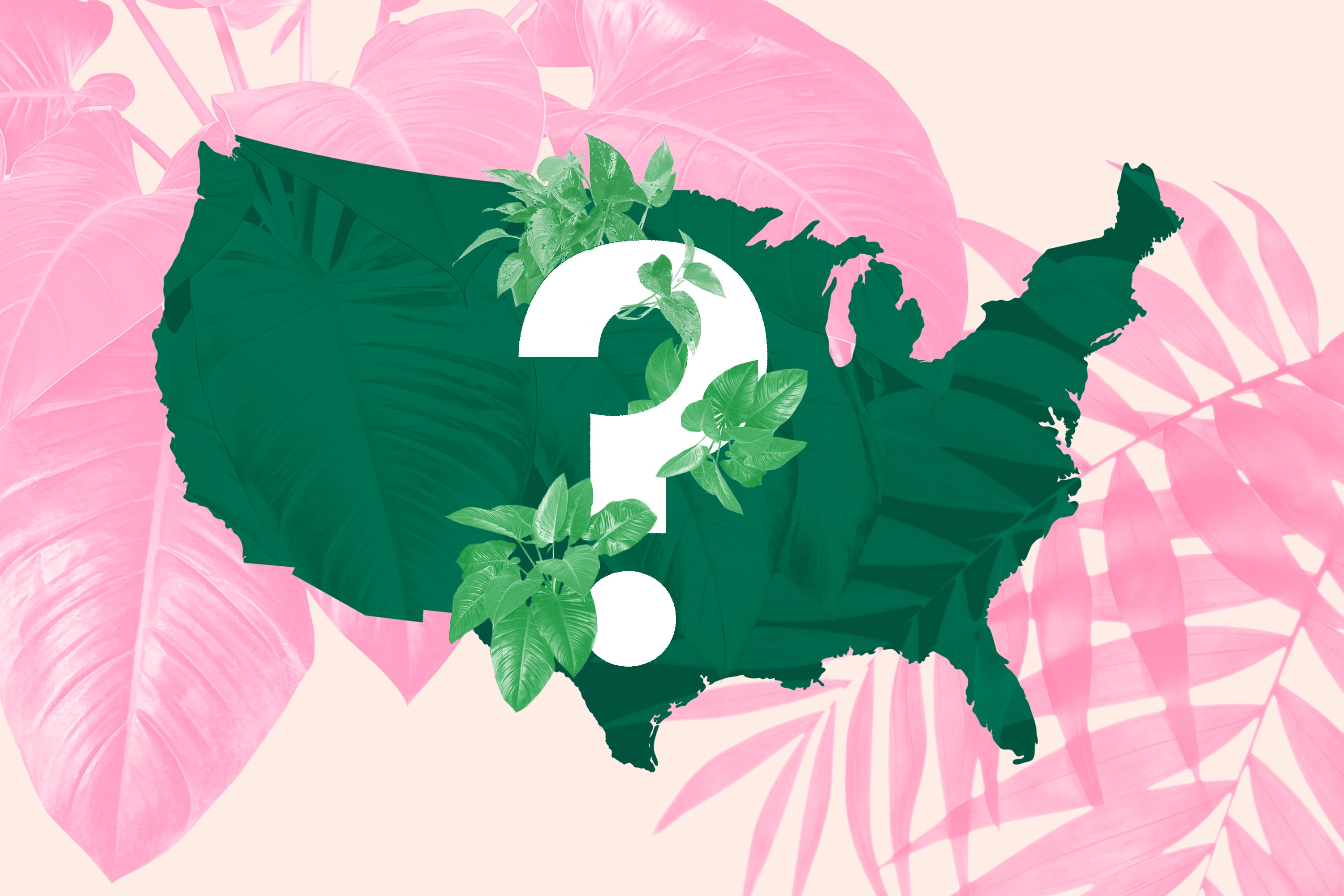 Turns Out, The Most Popular Plant In Your State Is The Same As All the Other Ones