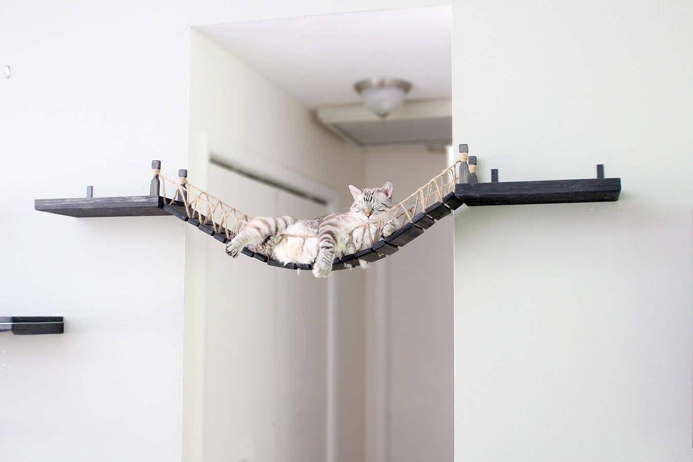 This Roped Bridge On Etsy Is Your Lazy Cat’s Dream