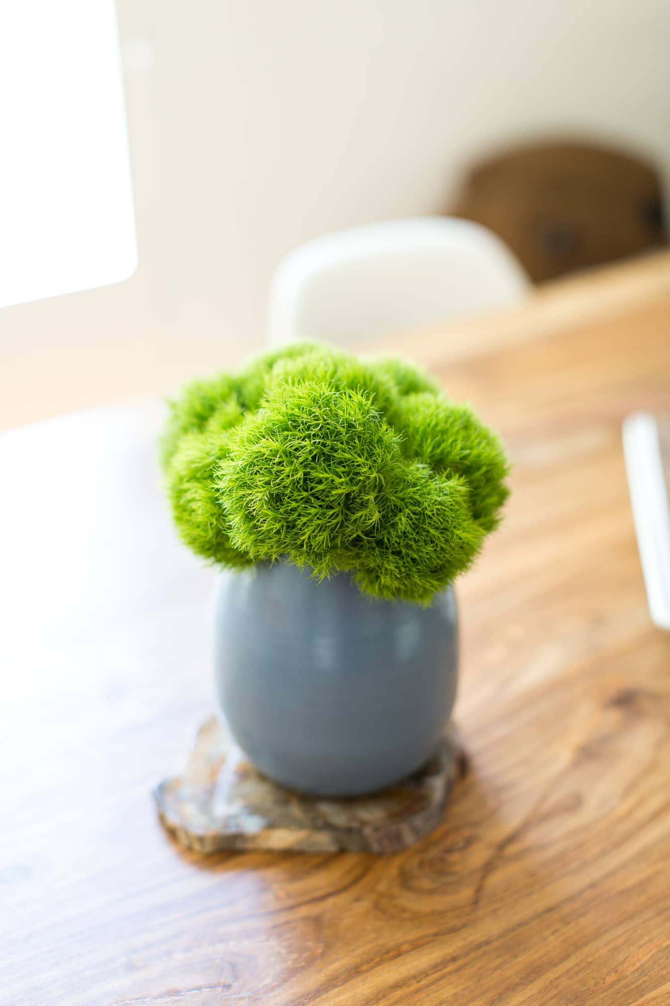 Small White Moss Bowl