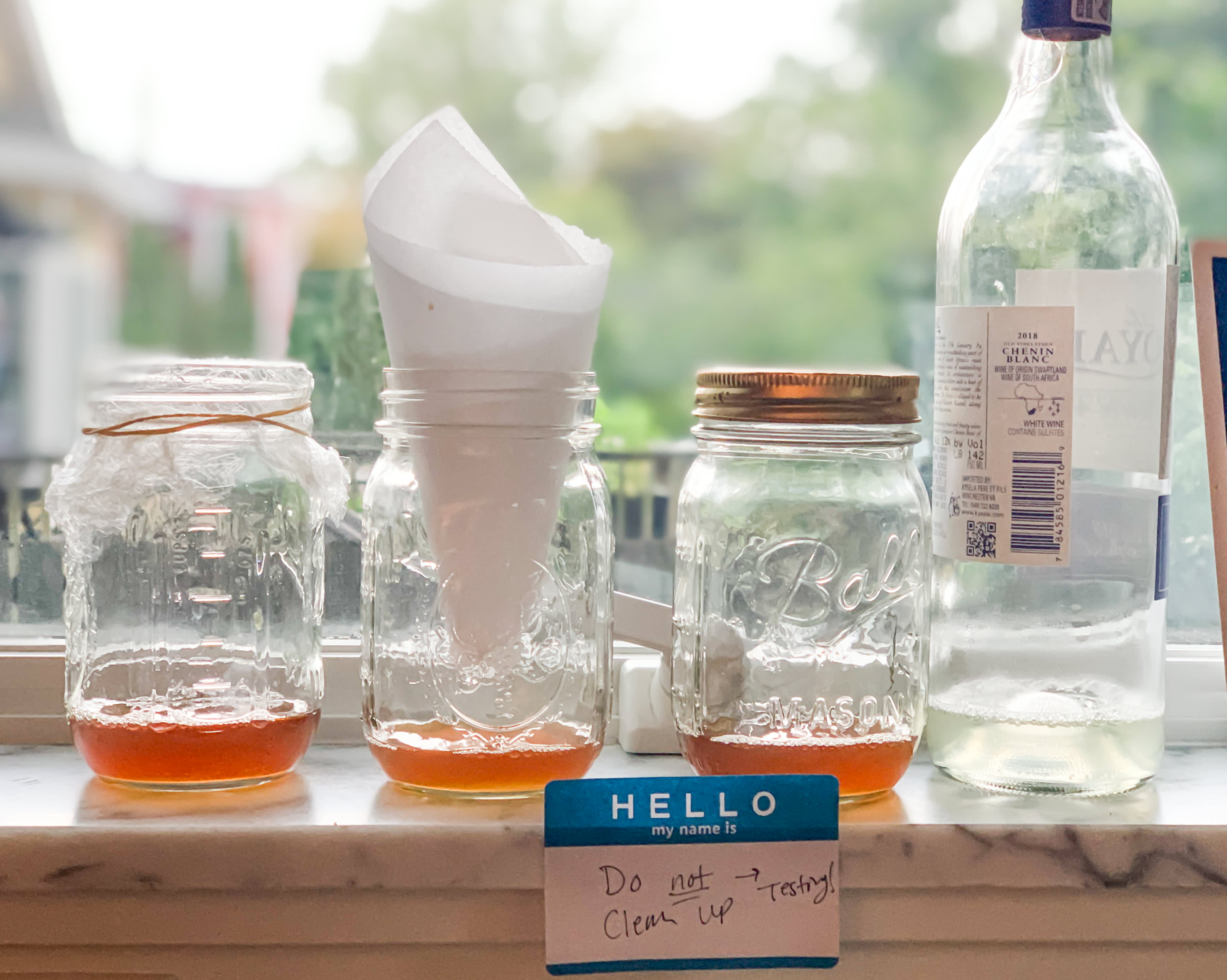 I Tested 4 Zero-Cost Methods for Trapping Fruit Flies in the Kitchen—and  Found One Clear Winner