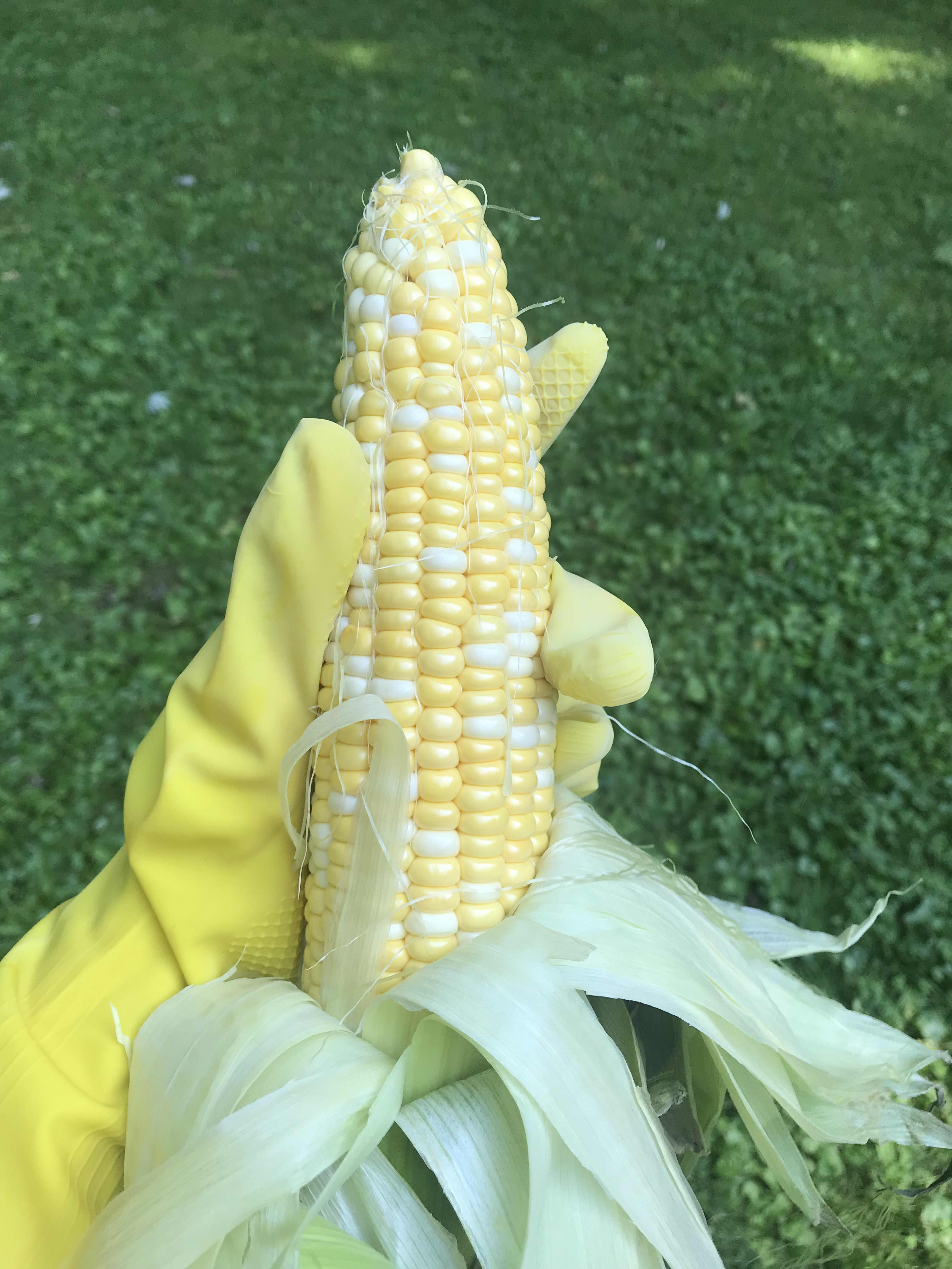 Corn Shucking Hack Rubber Glove Kitchn