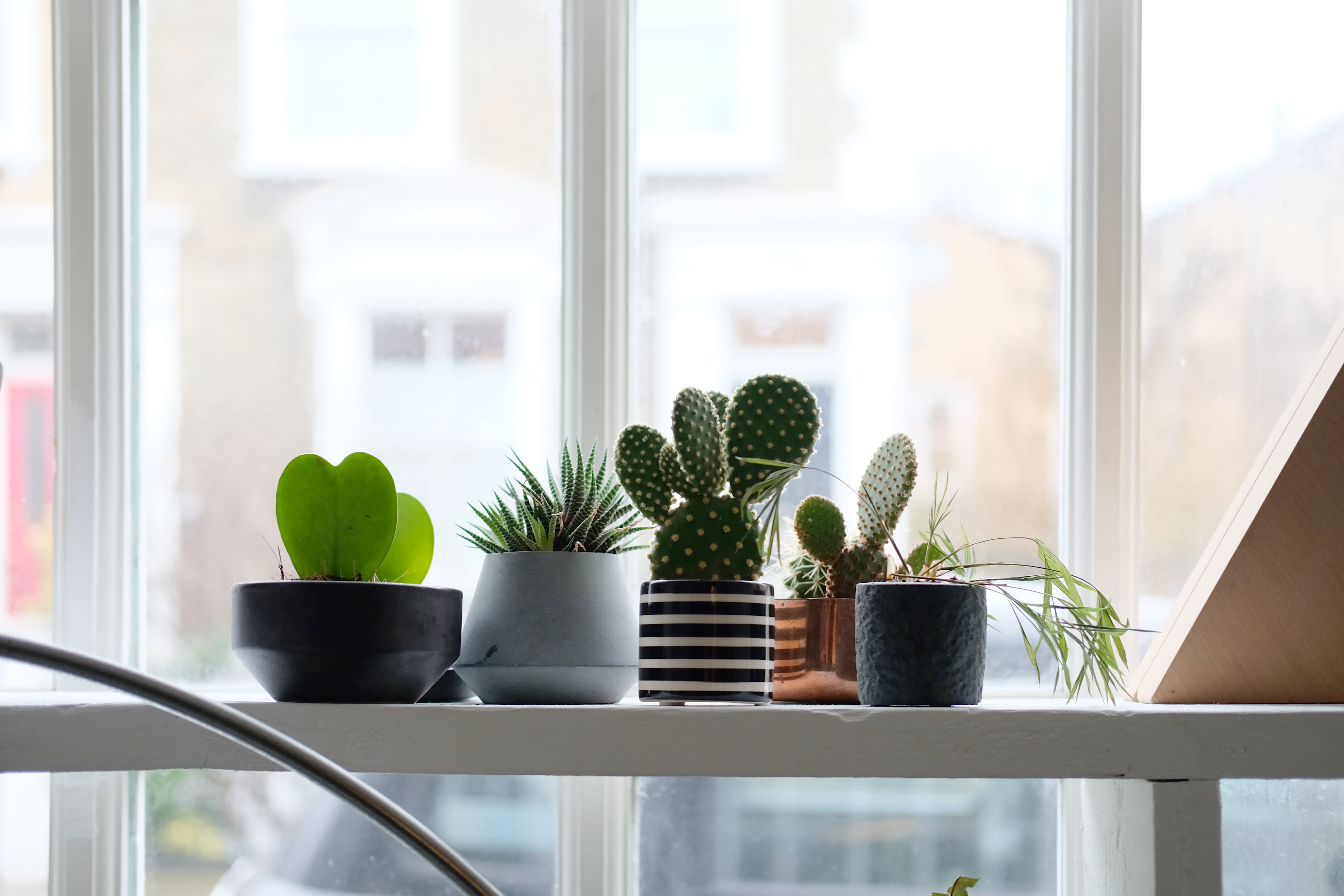 Indoor Tip - Flower Pot Filter Liners | Apartment