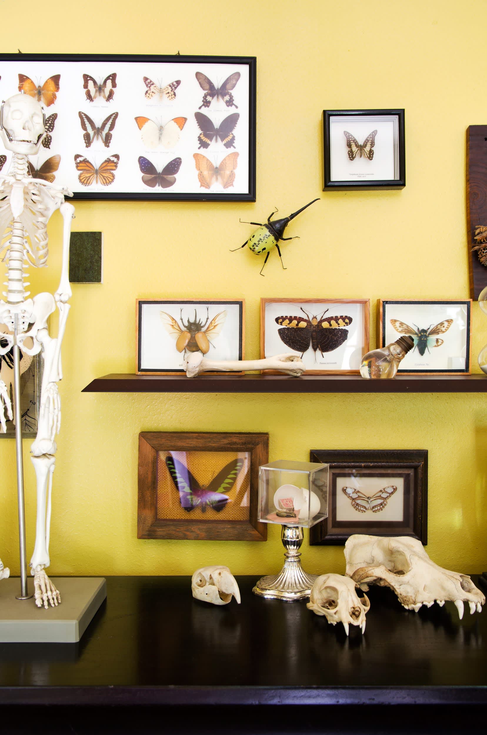 4 More Creative Ways to Display Your Collections