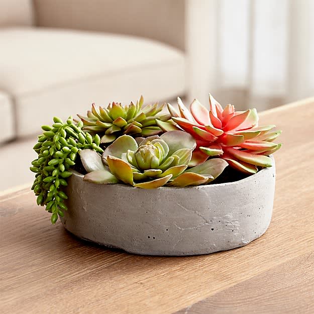 Rinlong Fake Succulents in Vase Artificial Potted Samll Fake Plants Succulent Faux Mini Succlents Plants Centerpiece for Shelf Vanity Glam Coffee Table Bathroom Counter Decor 
