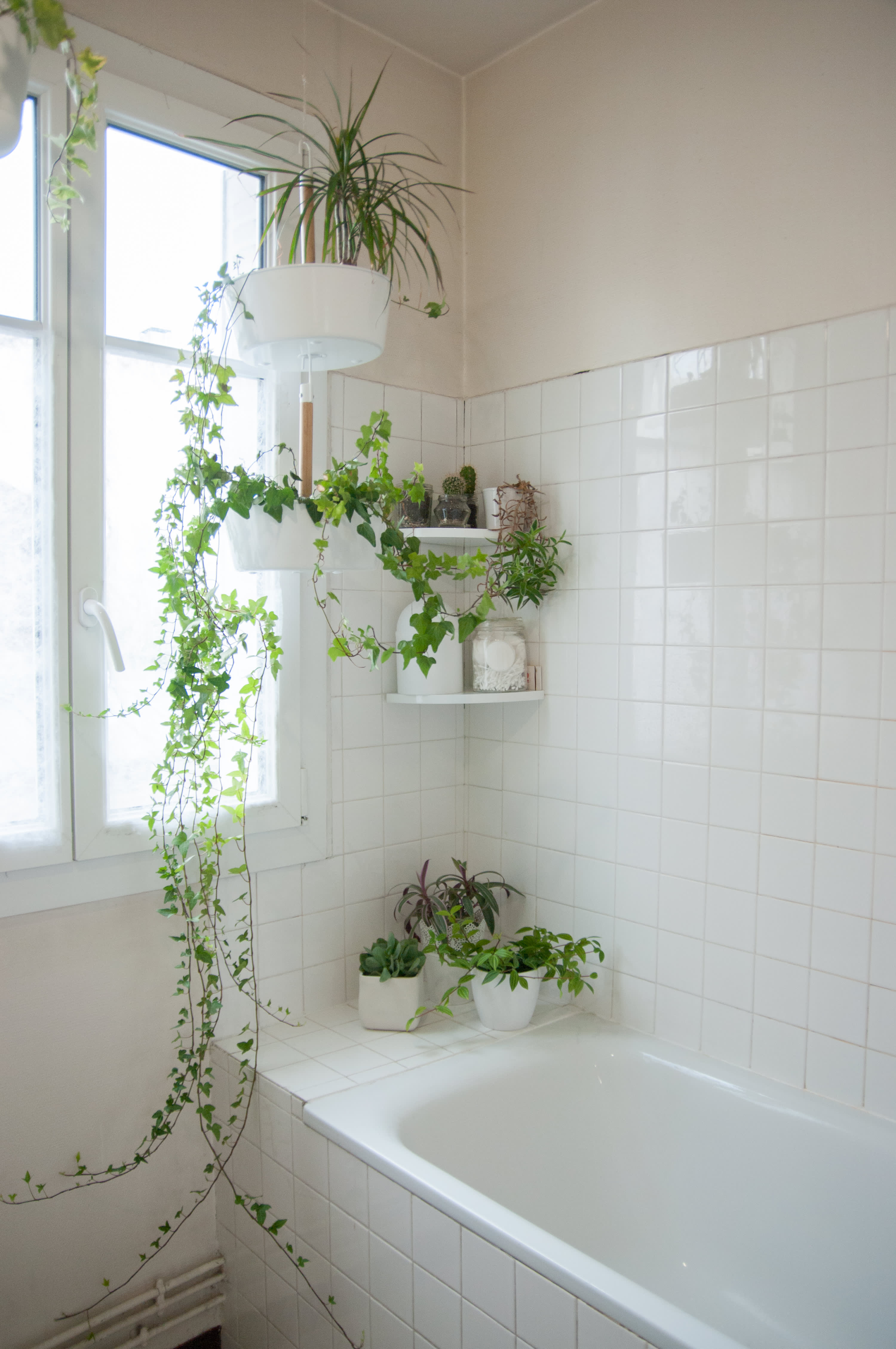 50 Best Bathroom Design Ideas | Apartment Therapy
