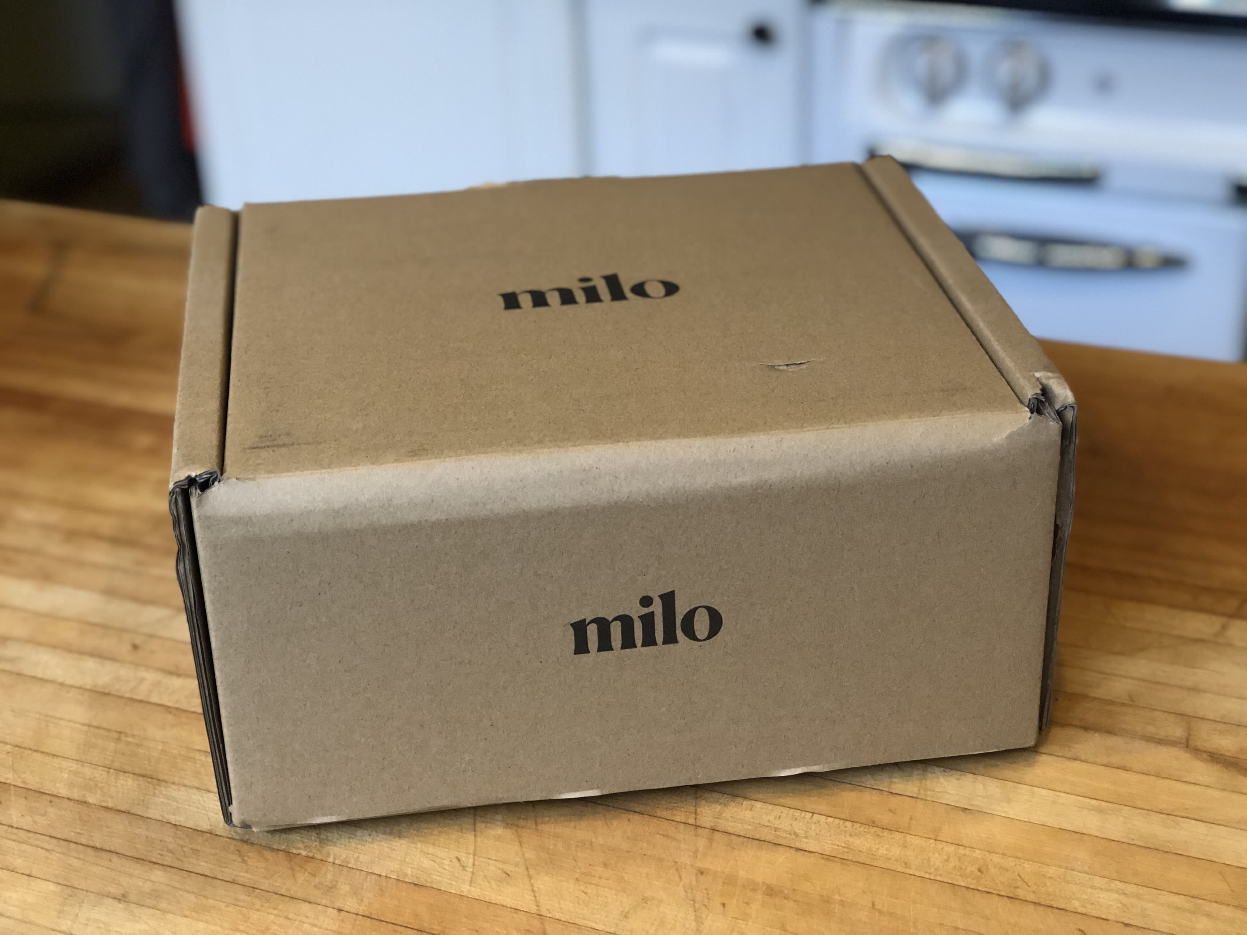 Milo Classic Dutch Oven 5.5QT