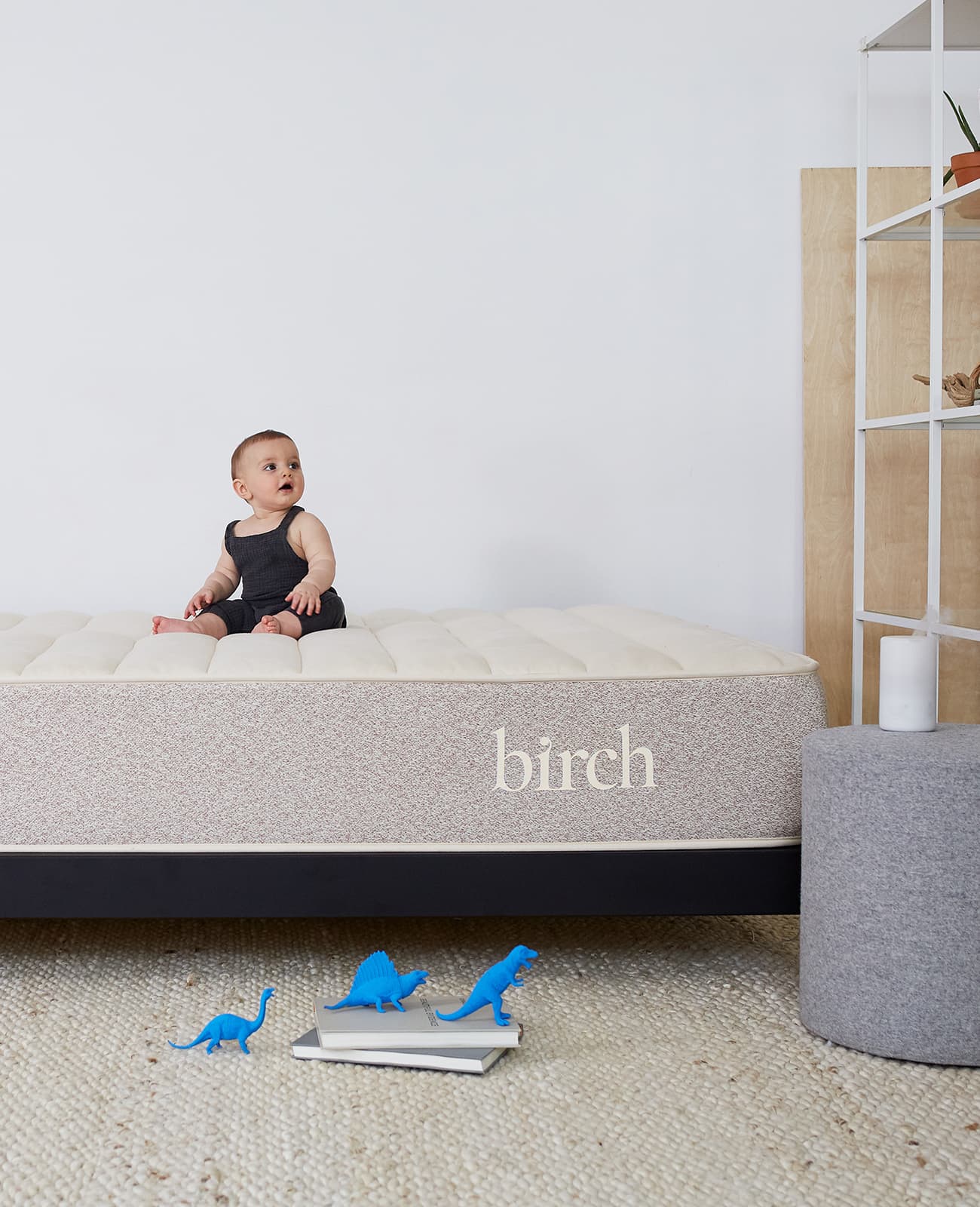 birch living mattress