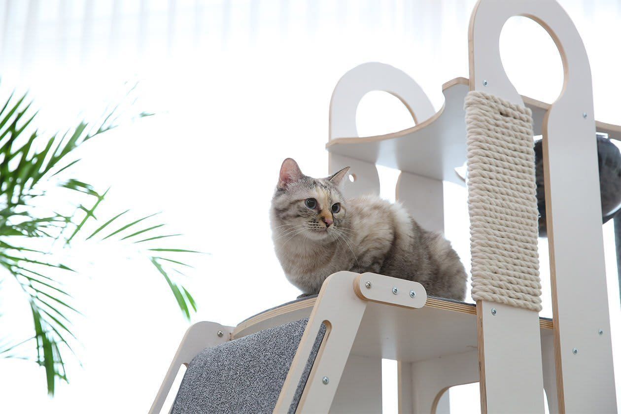 jump brand cat tree