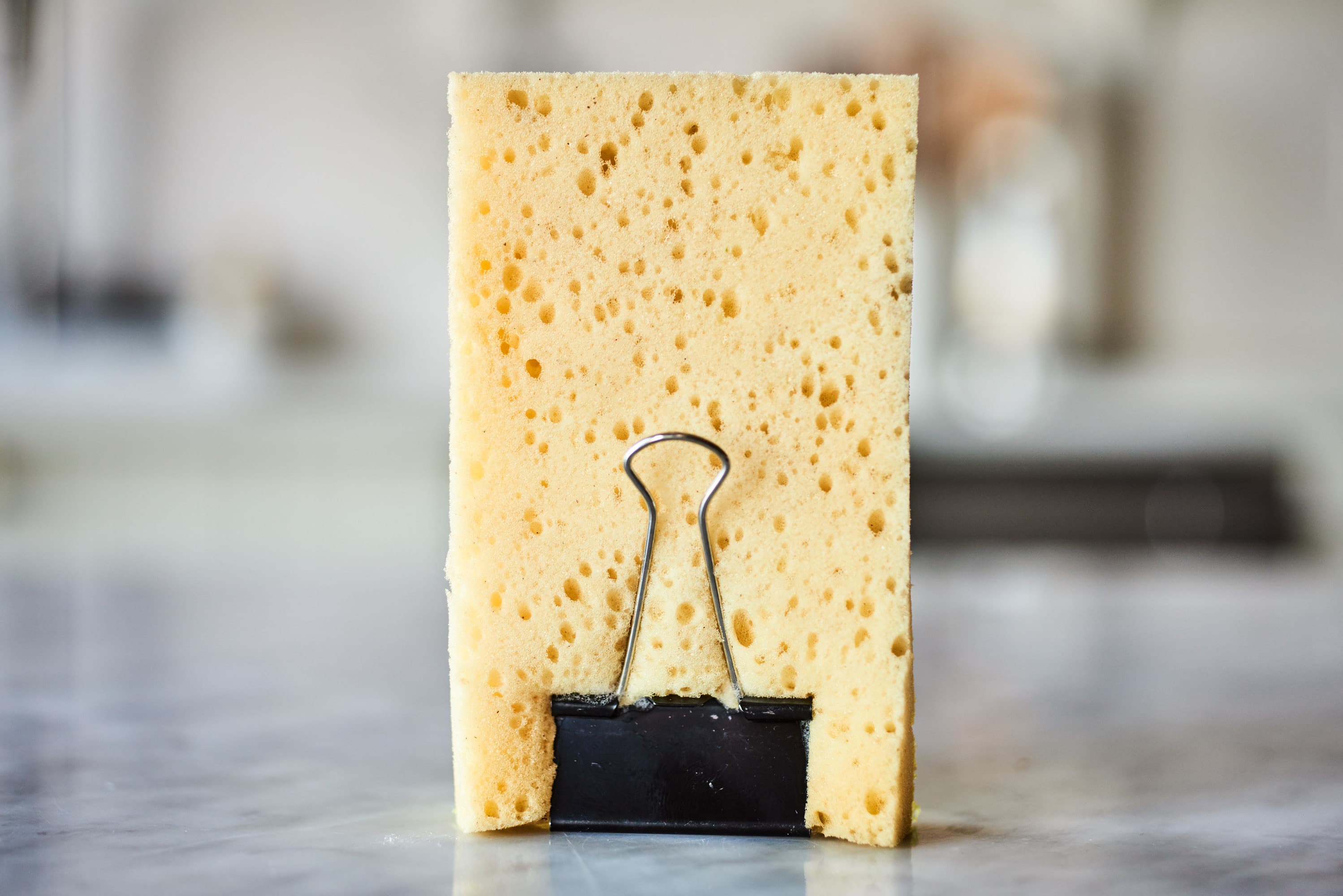 7 Sponge Hacks : How to Make Sponges Last Longer - The Homespun Hydrangea