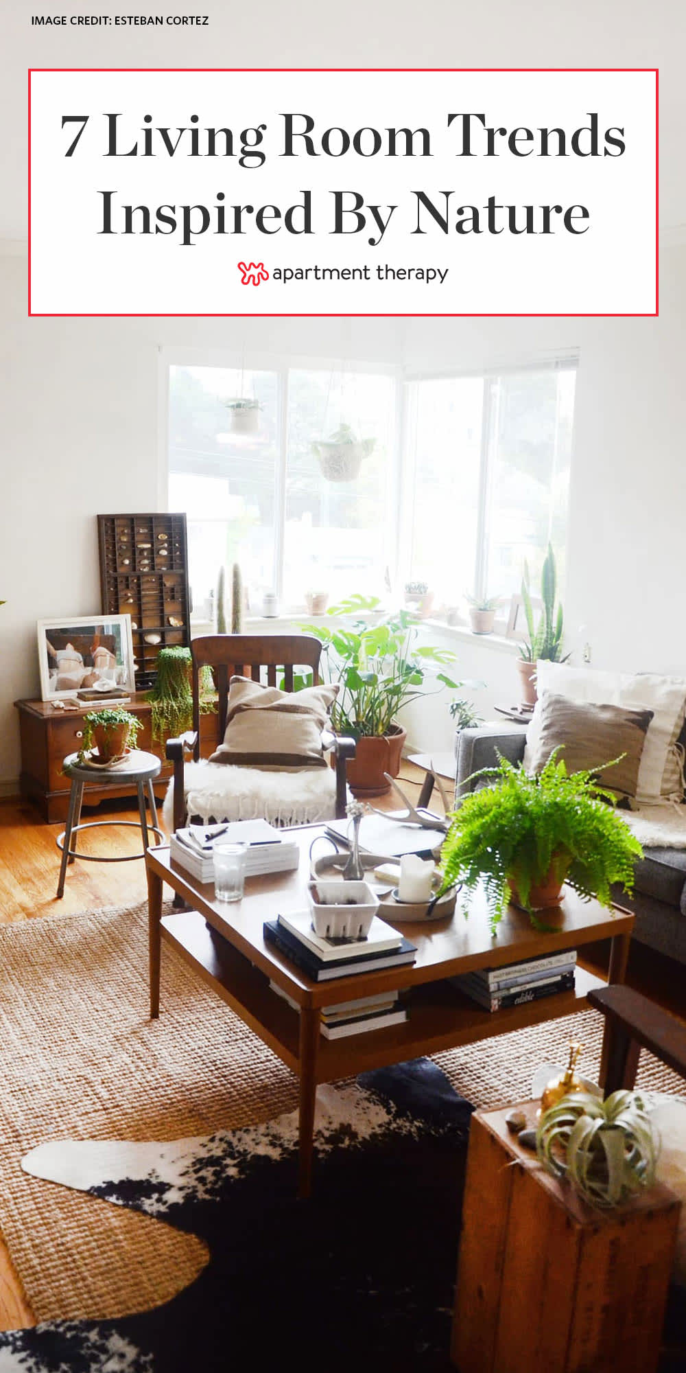 The Best Nature-Inspired Living Room Trends | Apartment Therapy