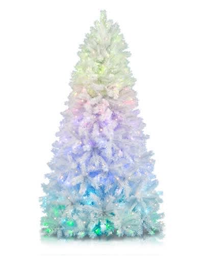 color blast christmas tree