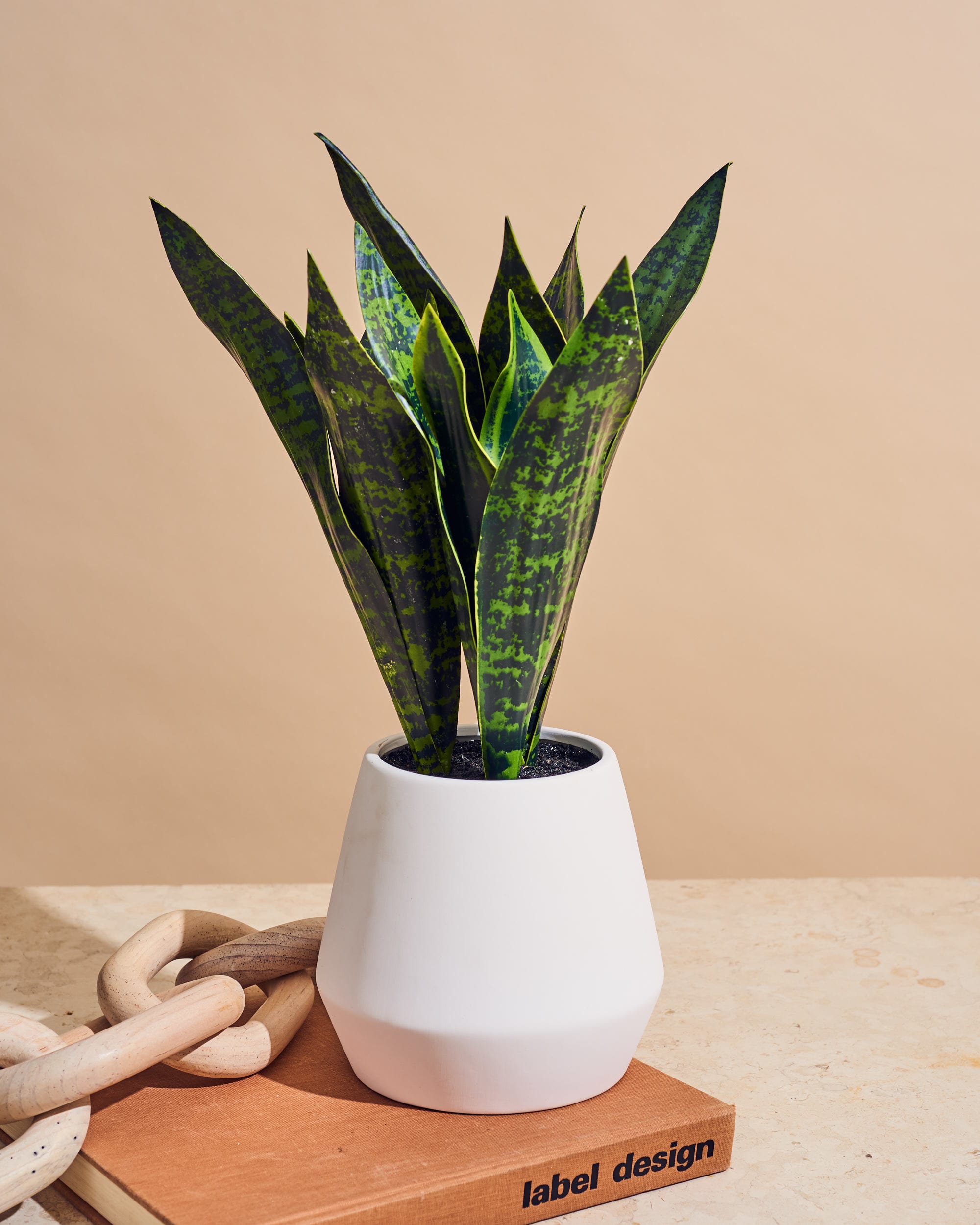 Faux Potted Snake Plant 3' + Reviews