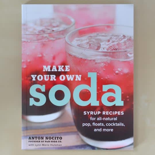 Make Your Own Soda by Anton Nocito The Kitchn