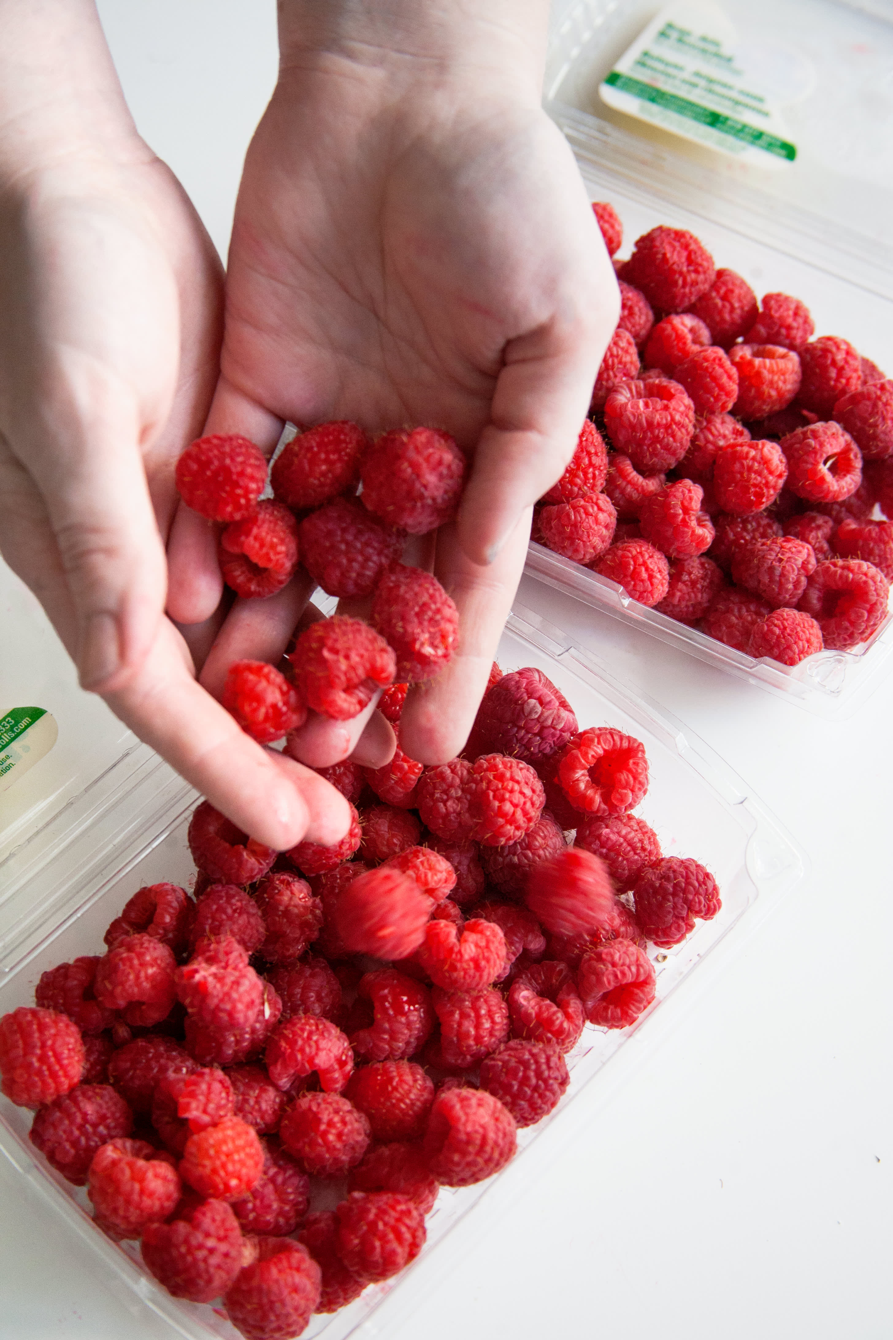 Reusable Berry Containers – Set of 2 – Farm Fresh Carolinas