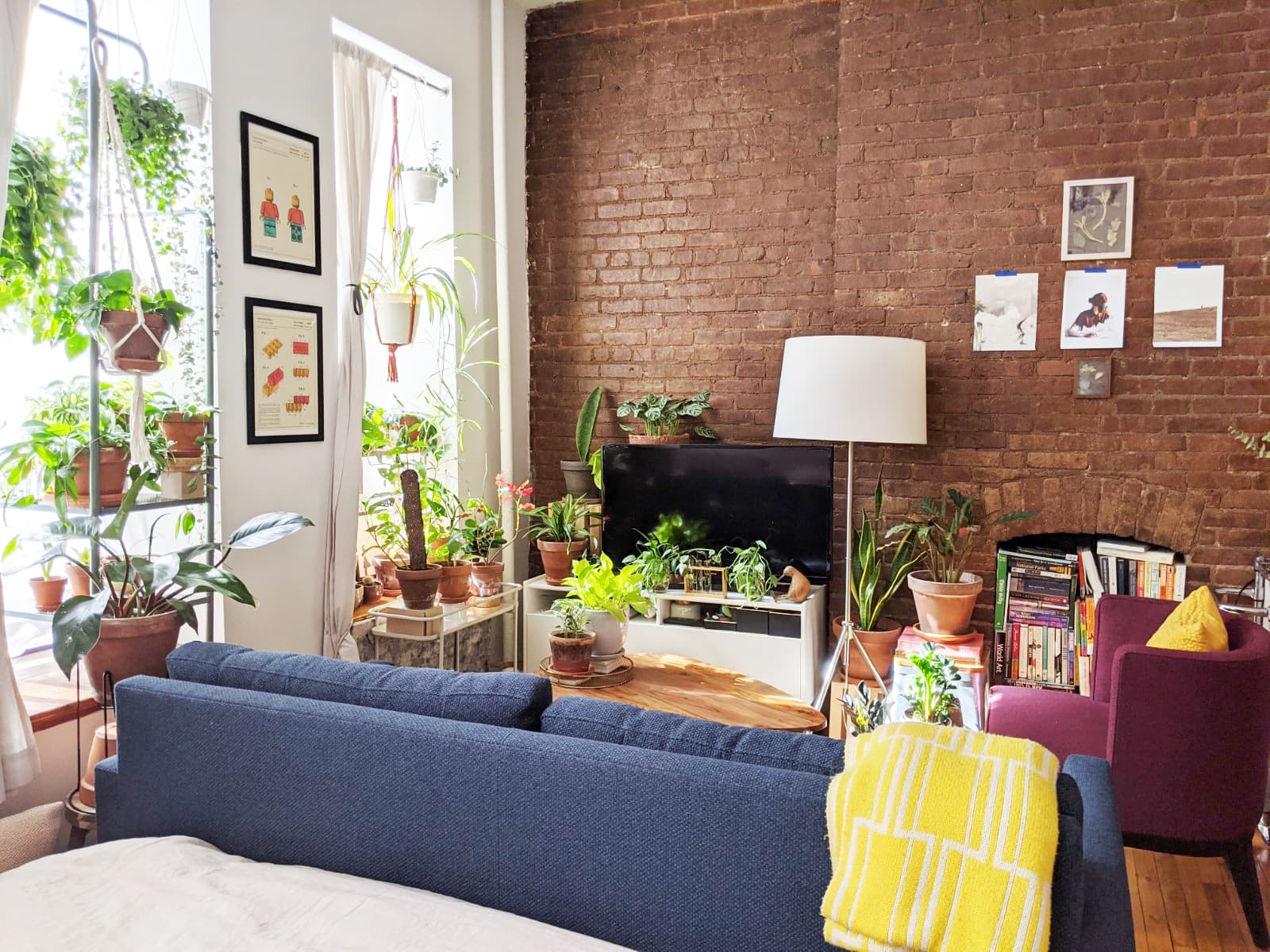 13 Perfect Studio Apartment Layouts That Work