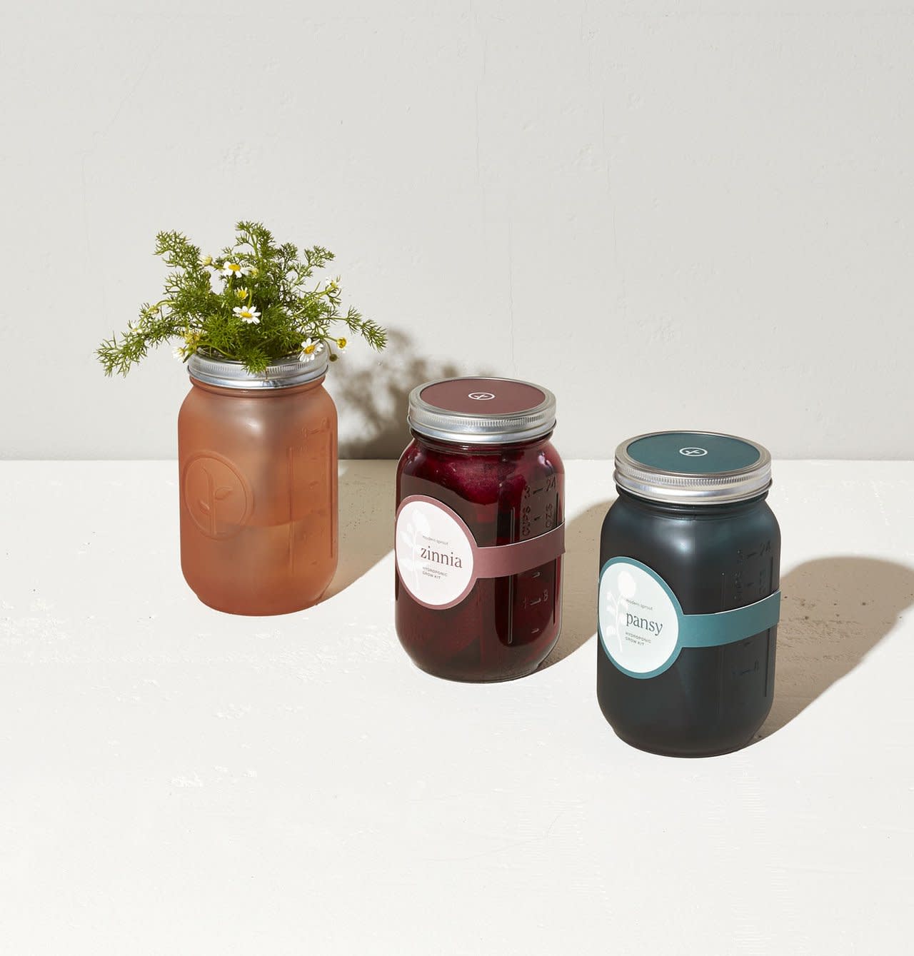 Modern Sprout Garden Jar (Mint)