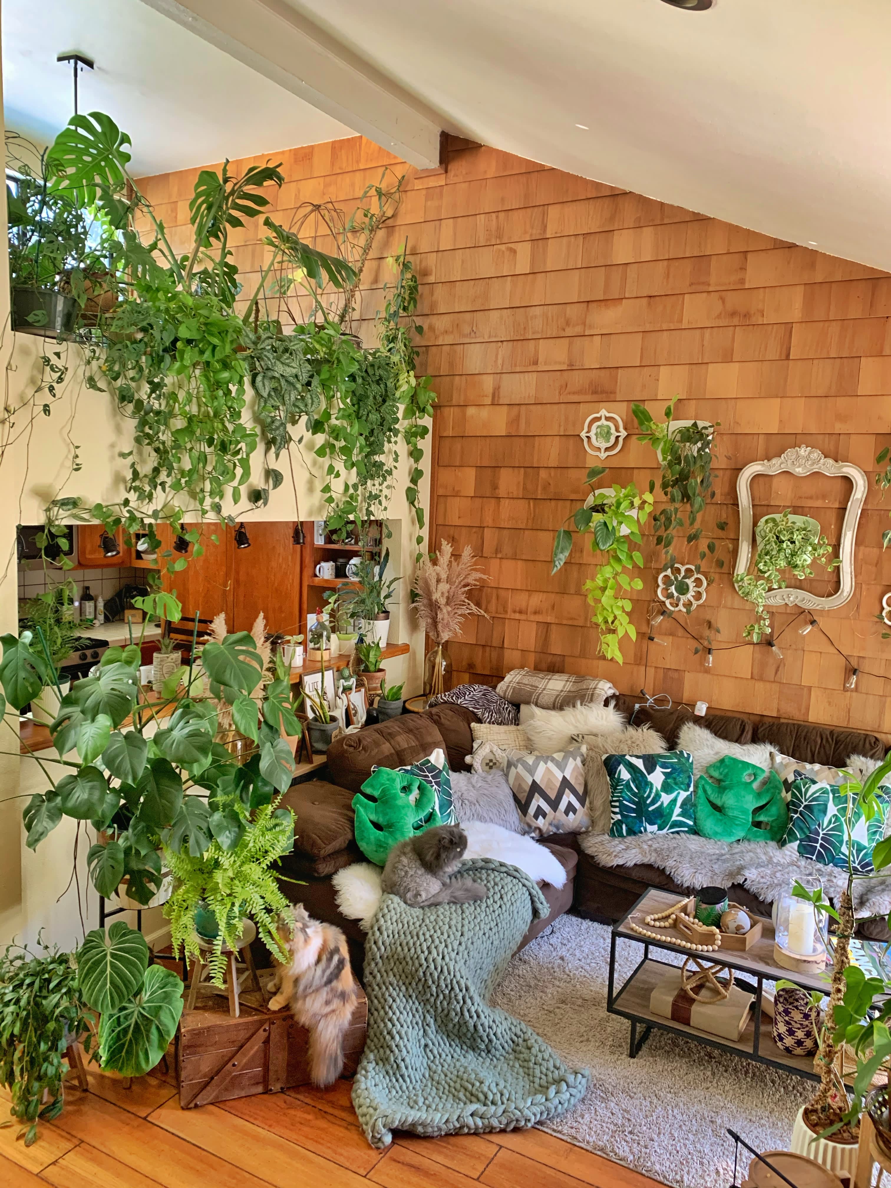 Plant Filled Bohemian California Rental Apartment