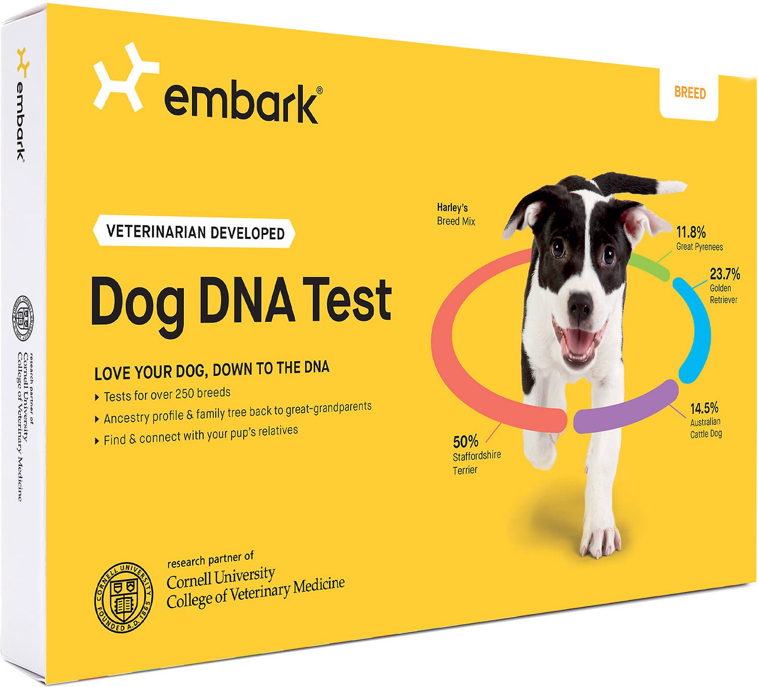 canine dna test