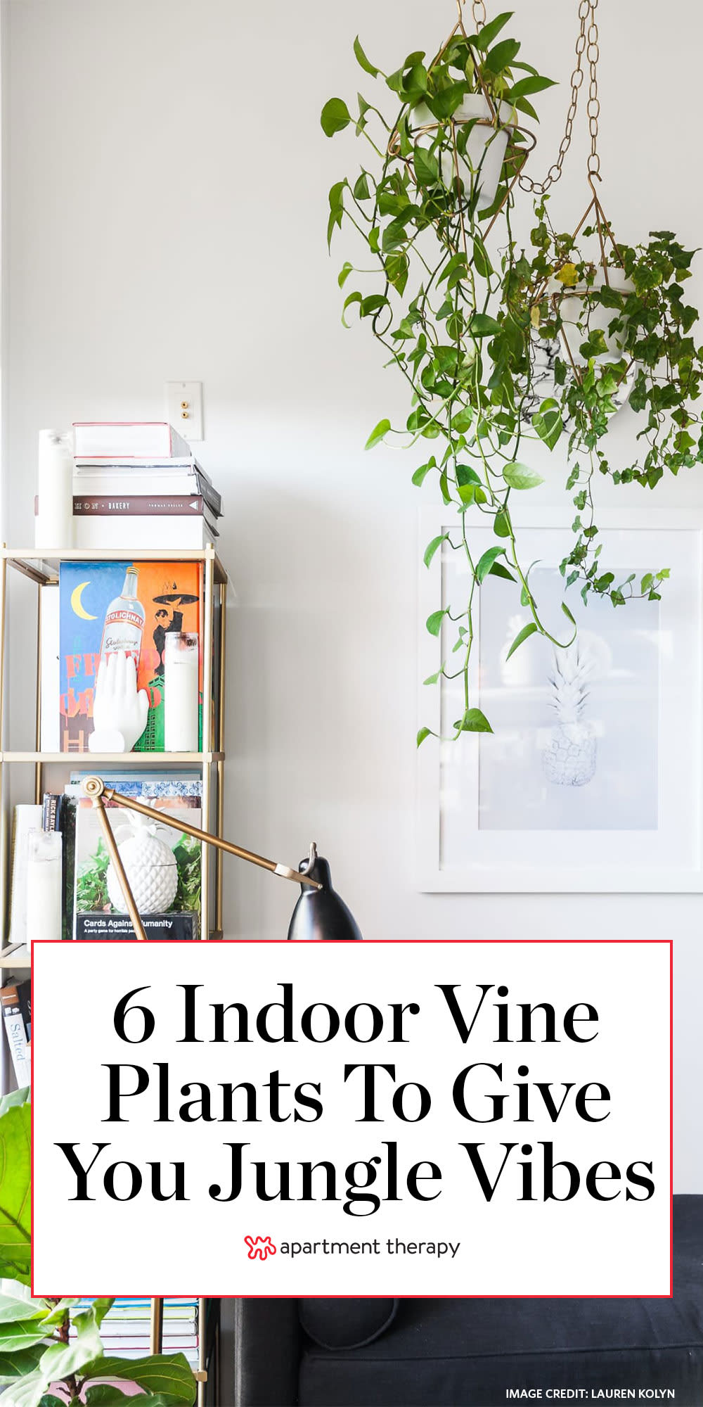 The Best Indoor Vining Plants Apartment Therapy