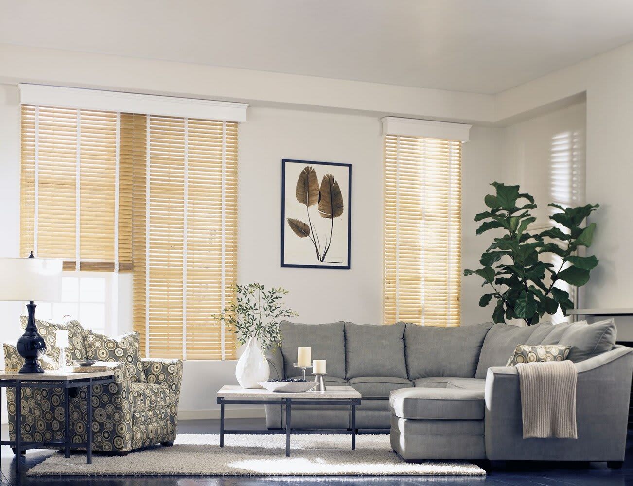 Buy Cheap Blinds, Shades, and Curtains | Apartment