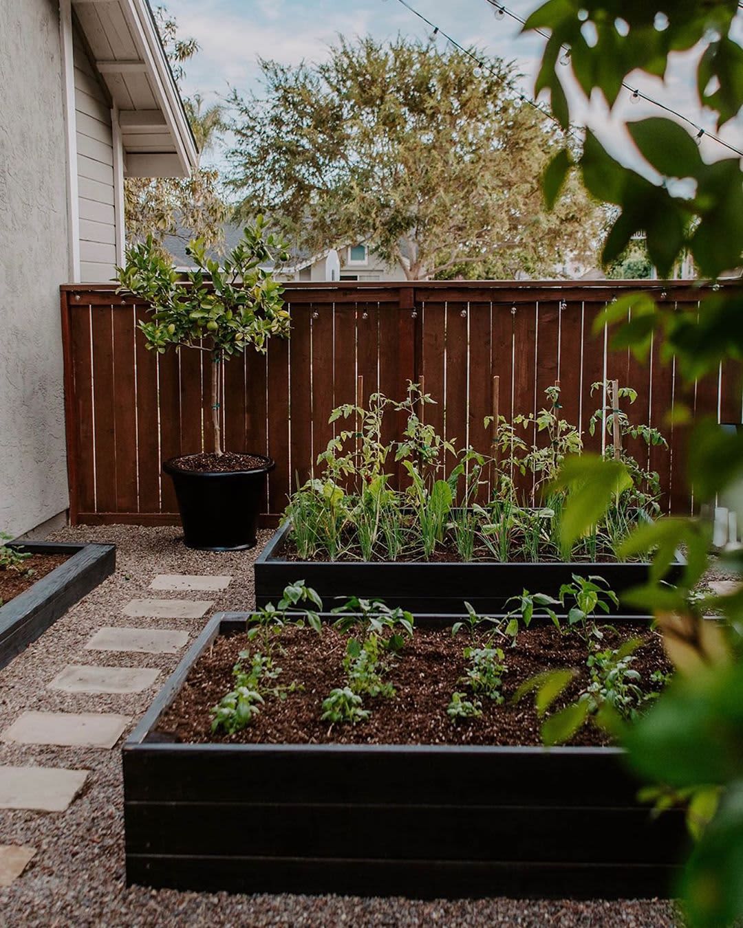 18 Patio Garden Ideas With Photos of Lovely Gardens   Apartment ...