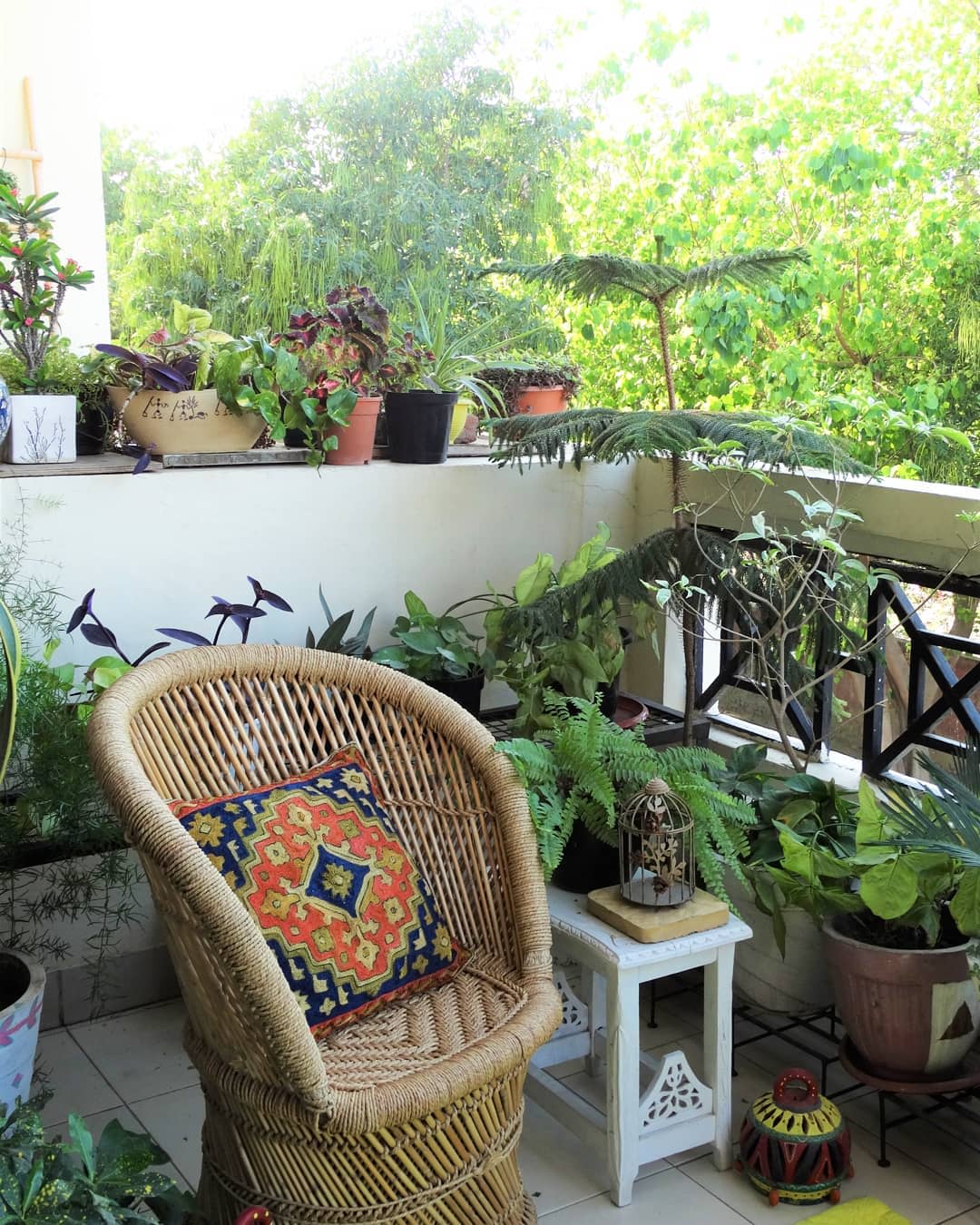 Garden Accessories - Buy Garden Accessories online in India