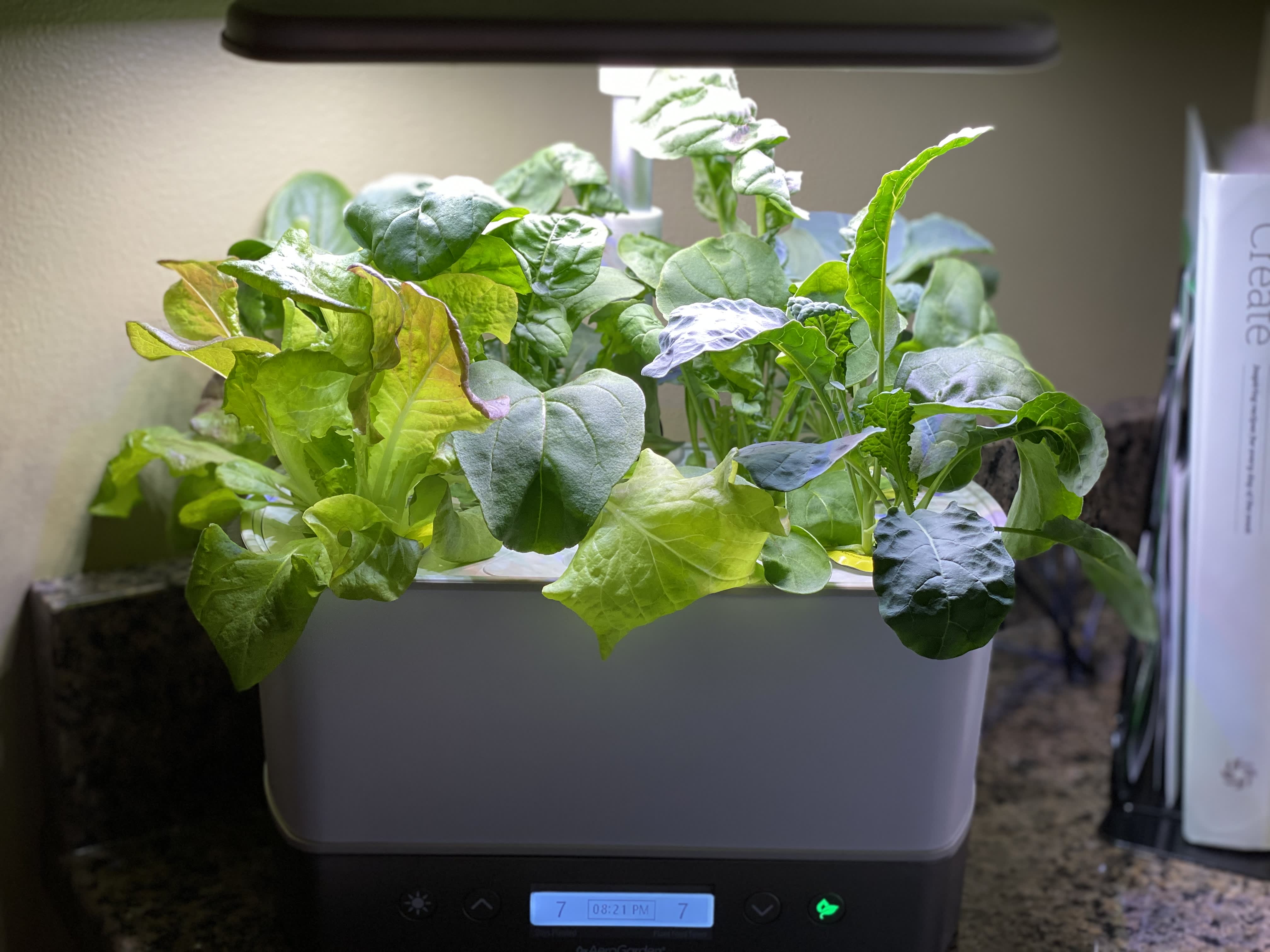 We Tried The Aerogarden Here S Our Honest Review Kitchn