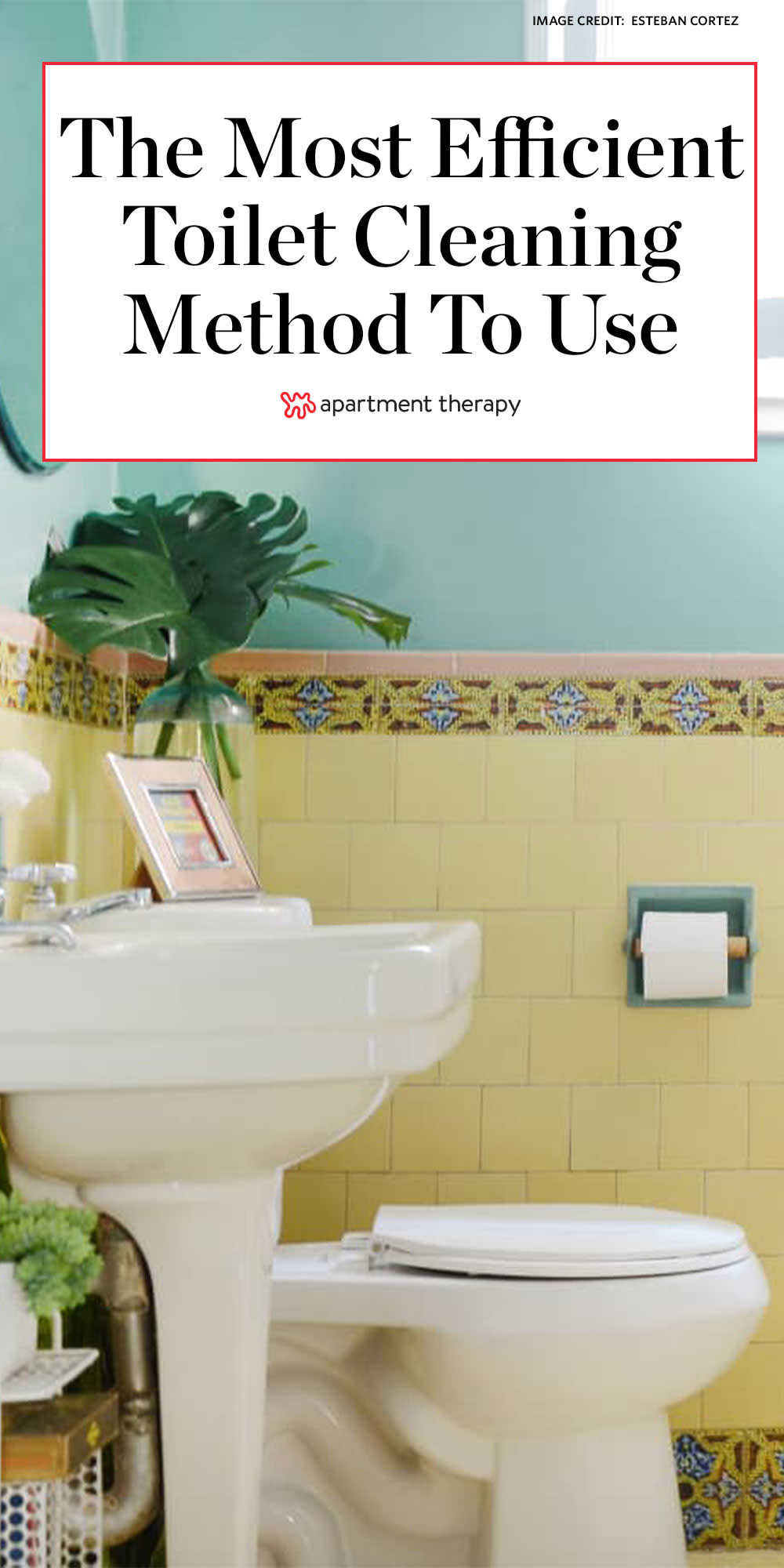 https://cdn.apartmenttherapy.info/image/upload/v1594827030/at/Custom%20Pins/7.15toiletmethod.jpg